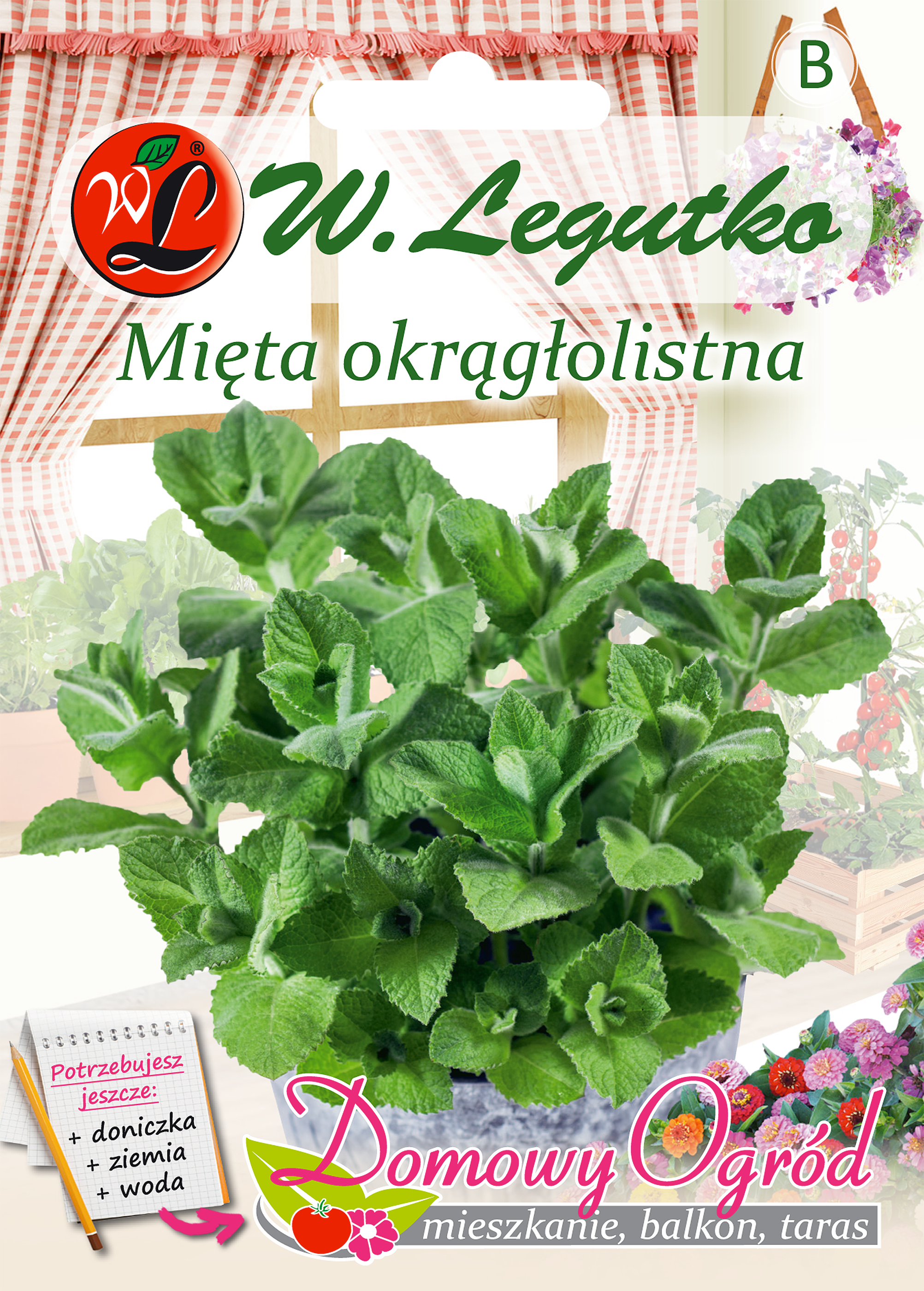 Mięta okrągłolistna nasiona tradycyjne W. Legutko