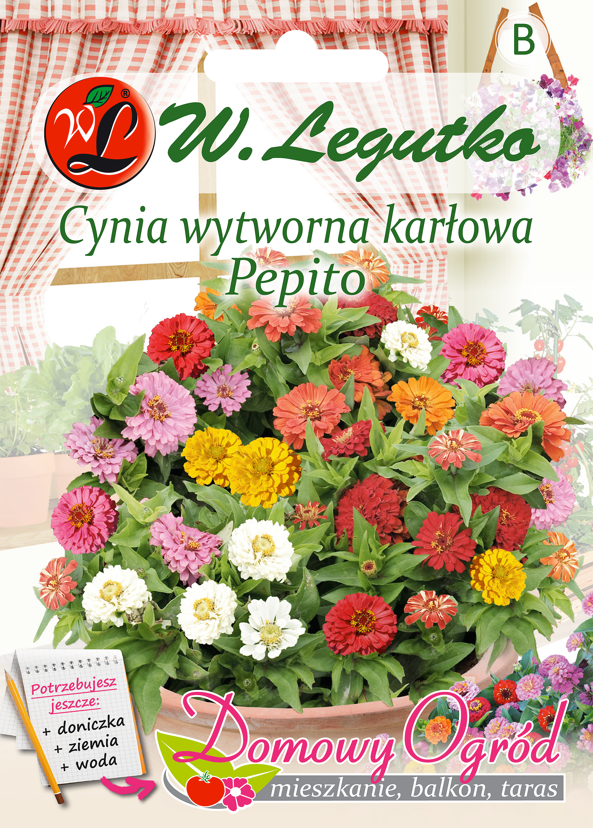 Cynia wytworna karłowa Pepito nasiona tradycyjne W.Legutko