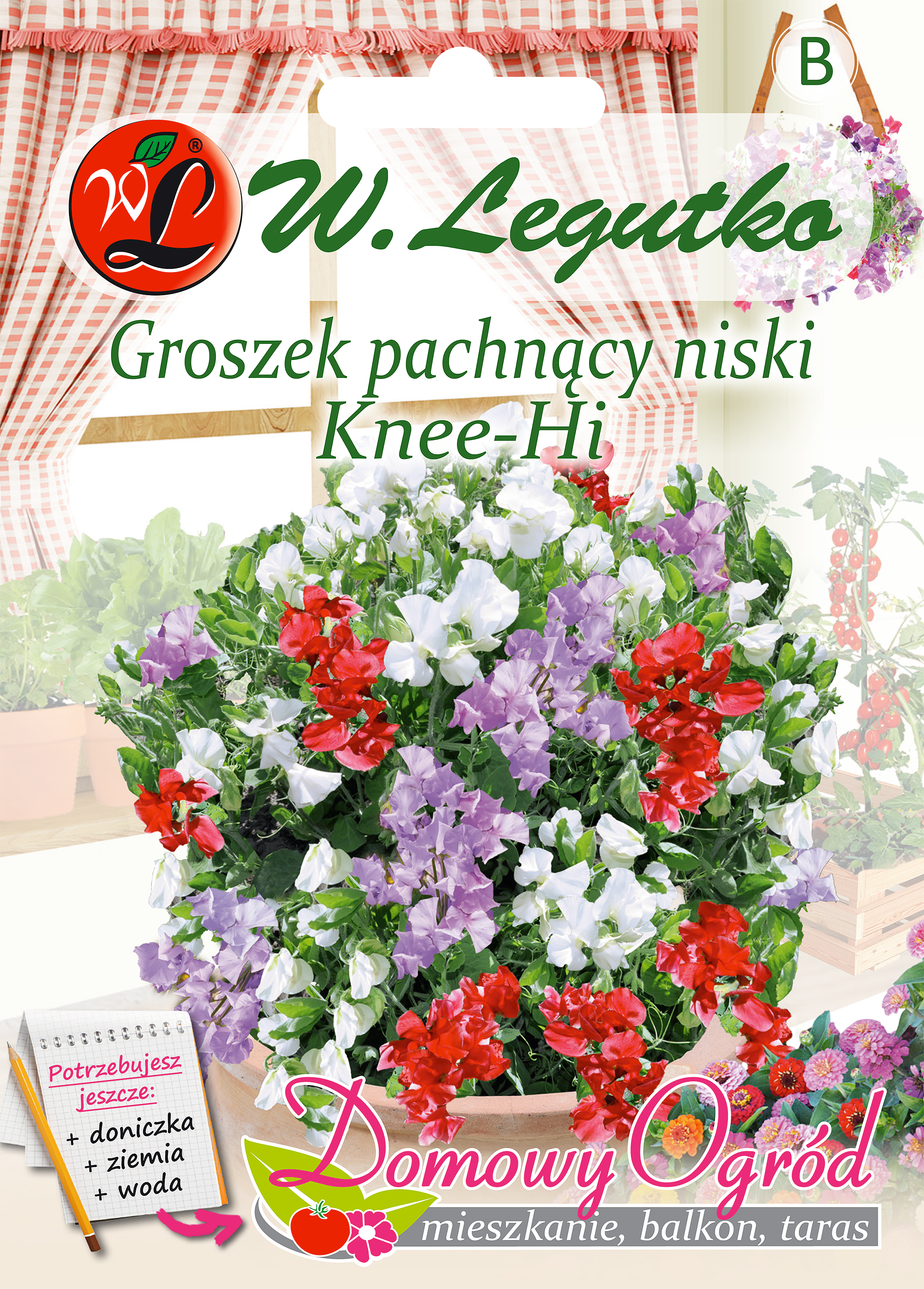 Groszek pachnący niski Knee-hi nasiona tradycyjne W.Legutko