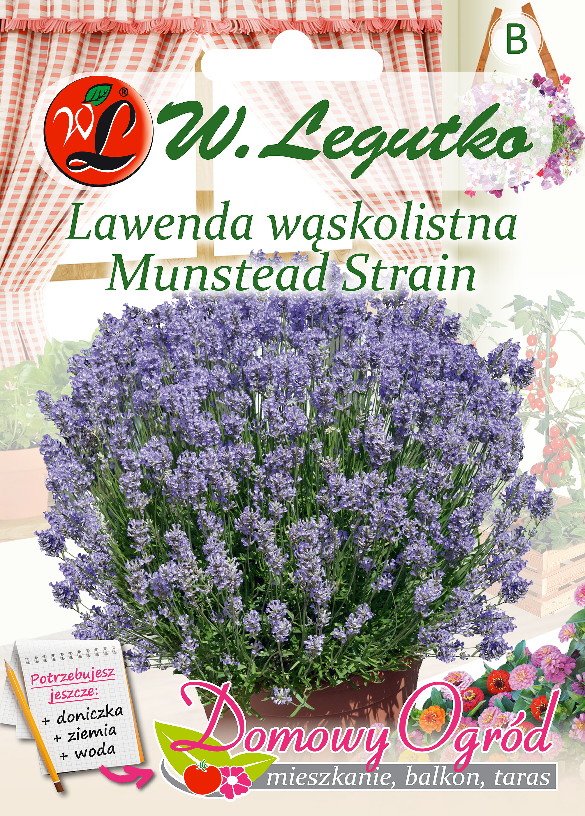 Lawenda lekarska nasiona tradycyjne W. Legutko