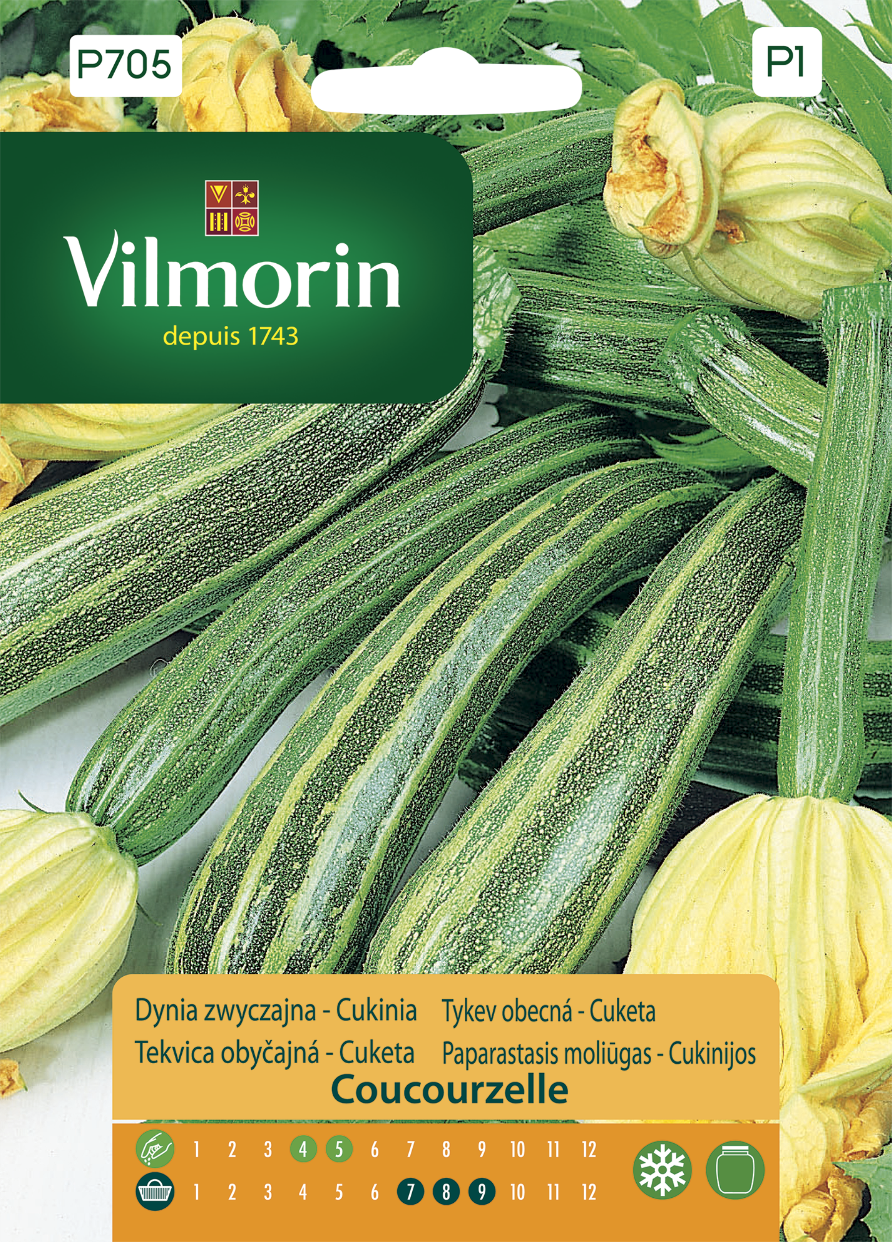 Dynia zwyczajna Coucourelle nasiona Vilmorin
