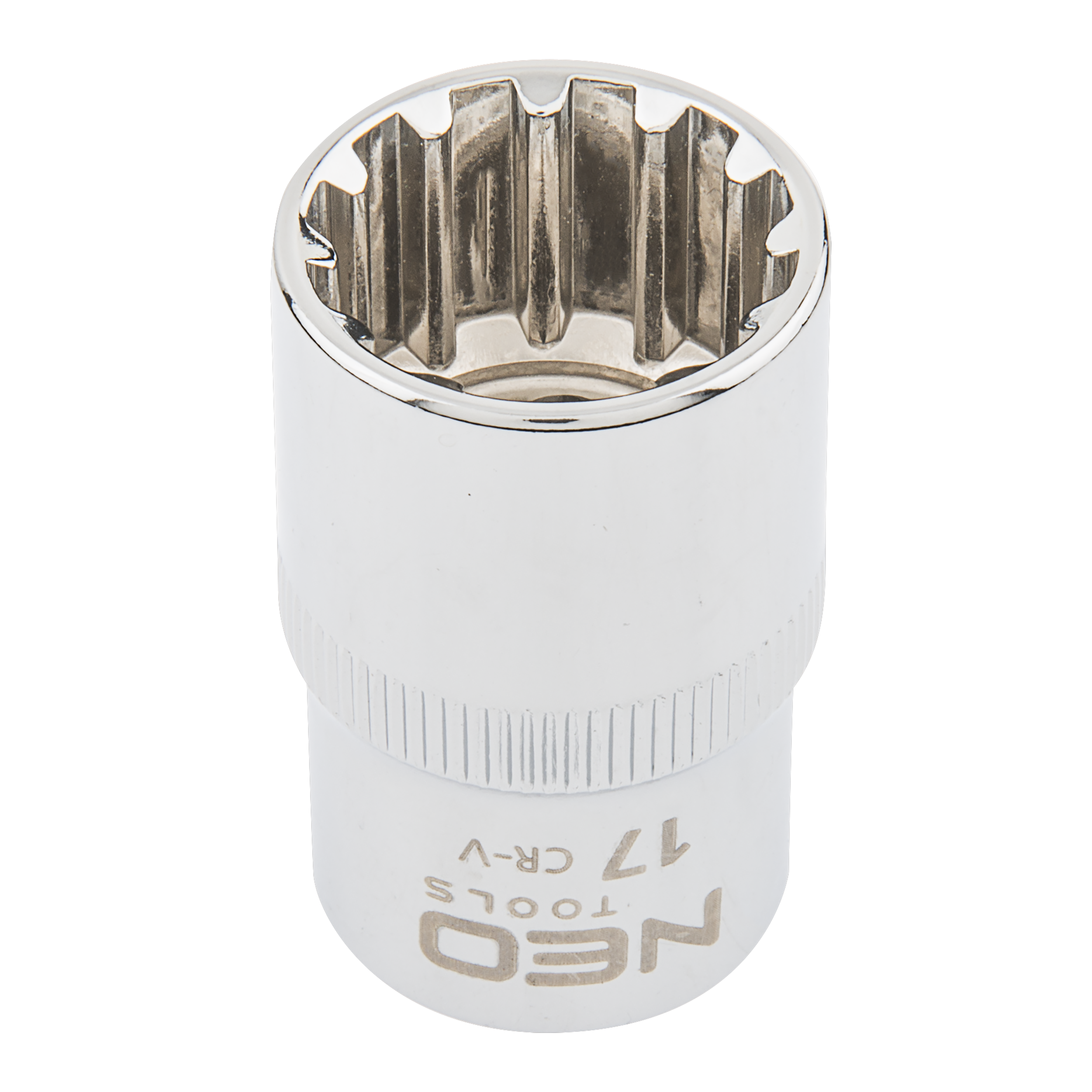 ティート　ネペンチョップロワー Nasadka Spline 1/2