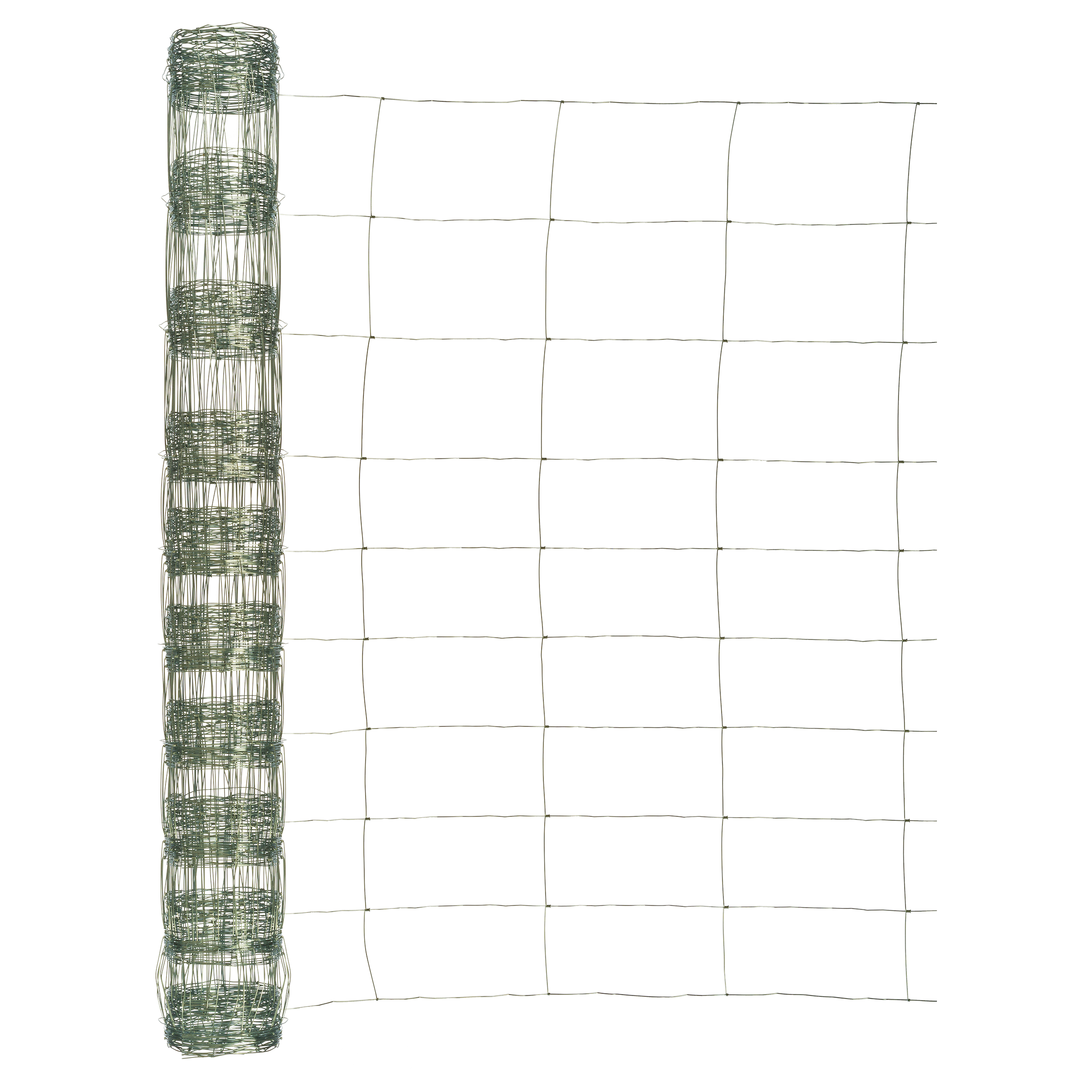 Siatka rolno-leśna pleciona 1.5x25 m ocynk