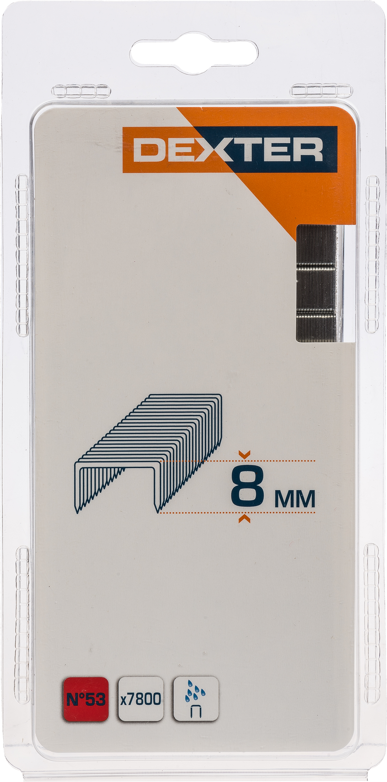Pack de 7800 grapas DEXTER Nº 53, 8mm - 7