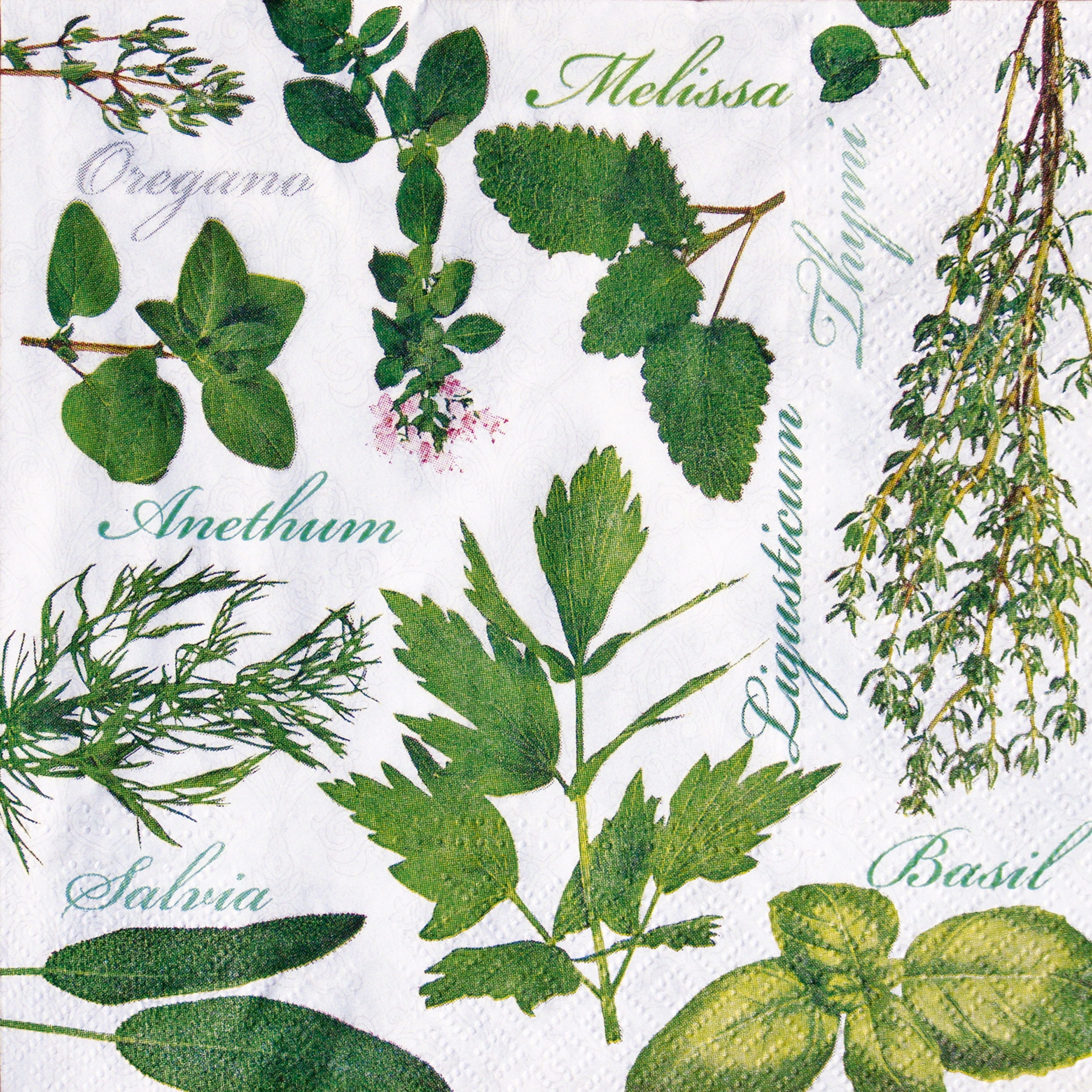 Serwetki Herbal taste 33 x 33 cm 20 szt.