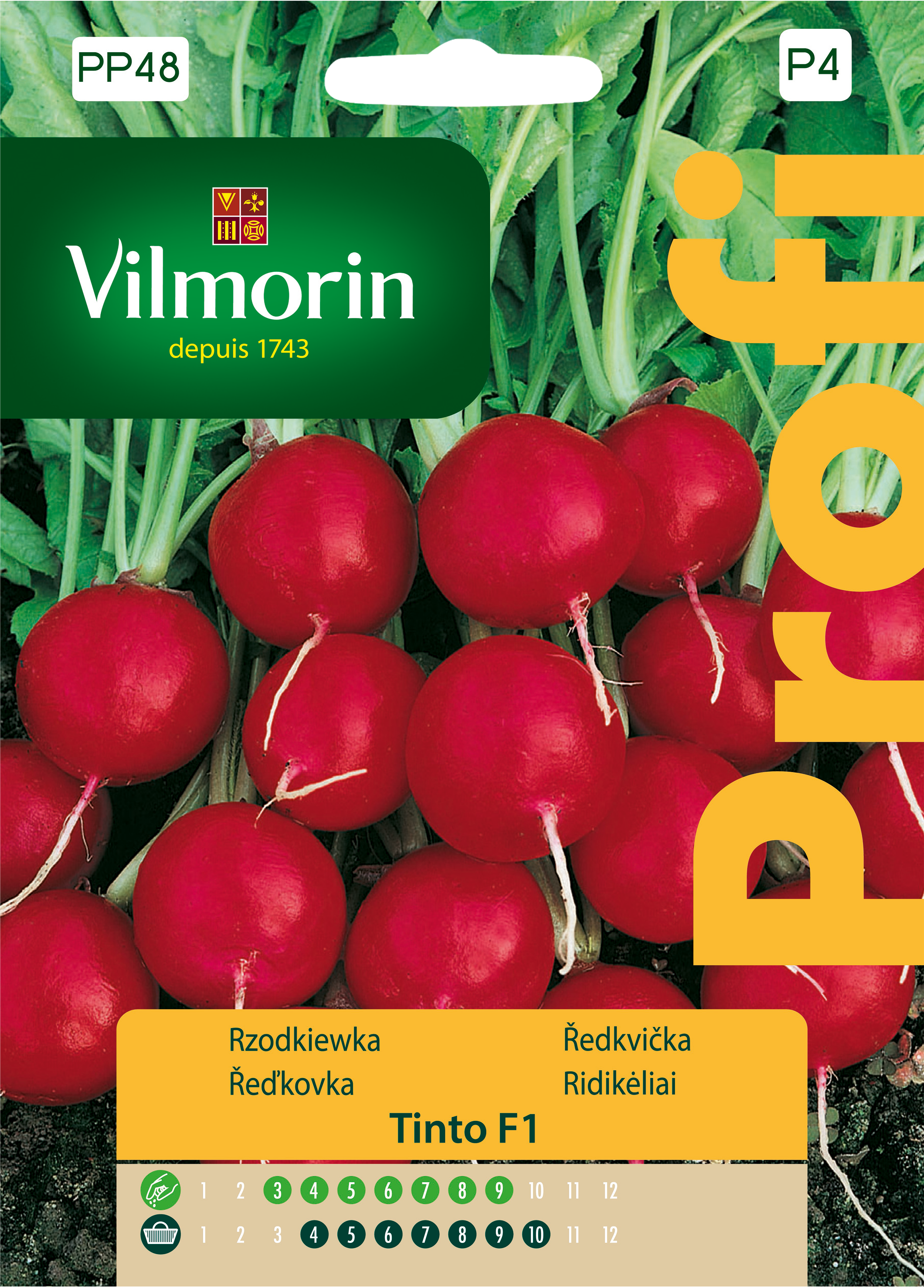 Rzodkiewka Tinto nasiona tradycyjne Vilmorin