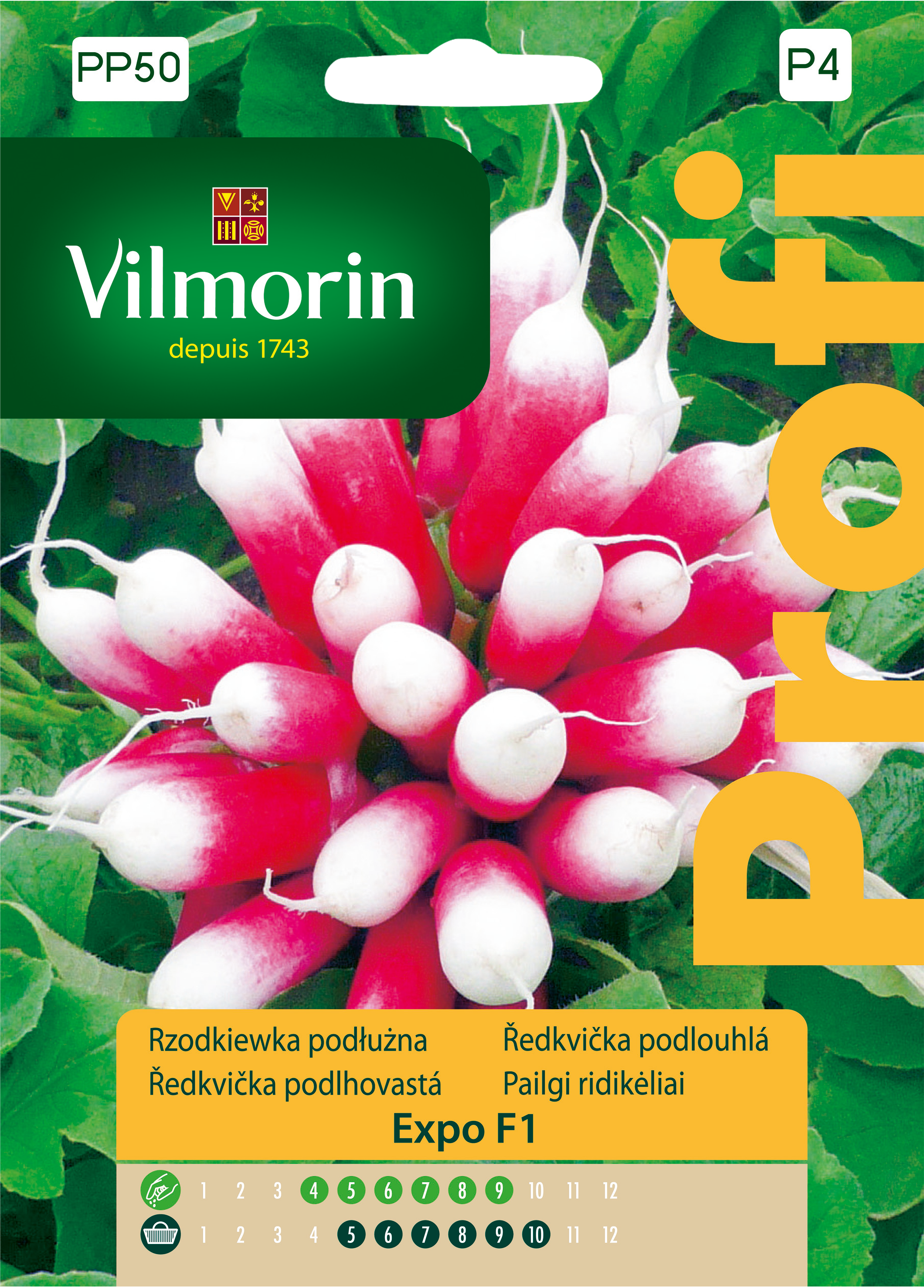 Rzodkiewka Expo nasiona 5g Vilmorin