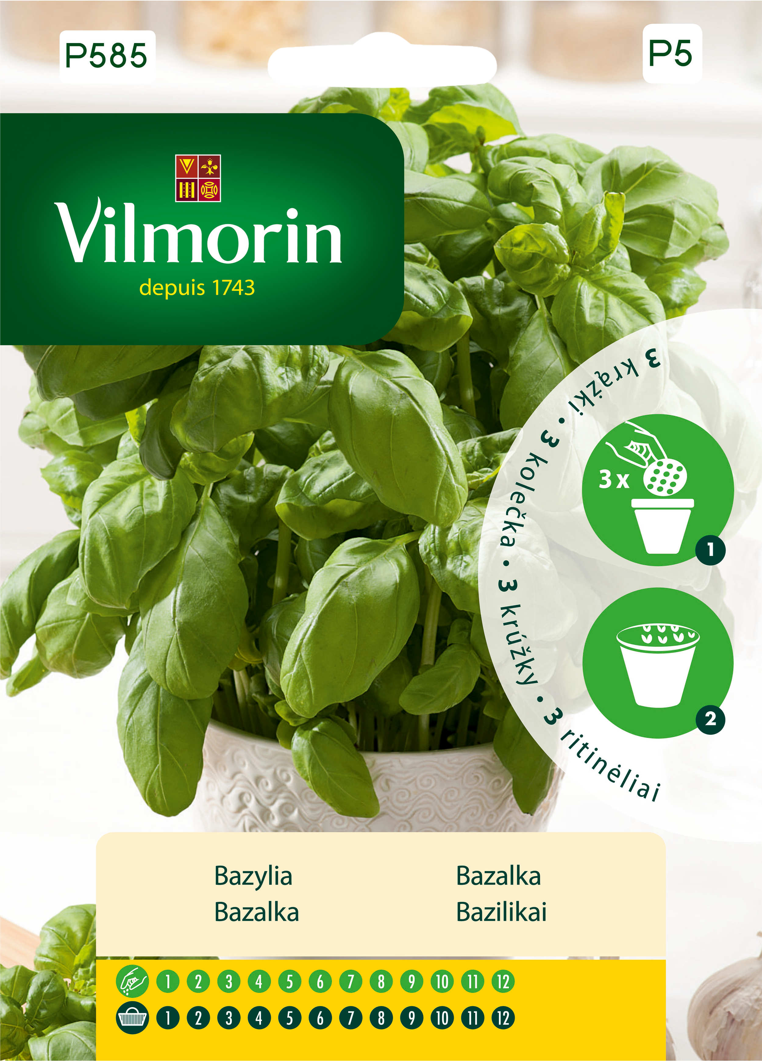 Bazylia nasiona na krążku 3szt. Vilmorin