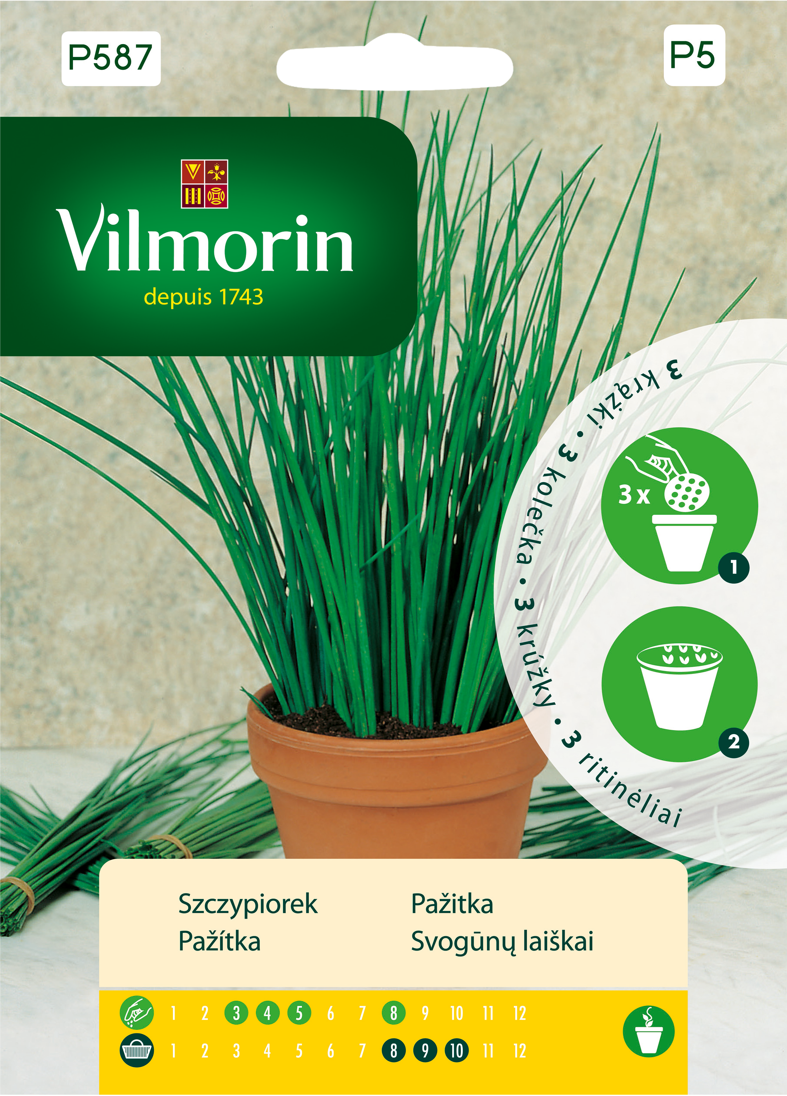 Szczypiorek nasiona na krążku 3szt. Vilmorin