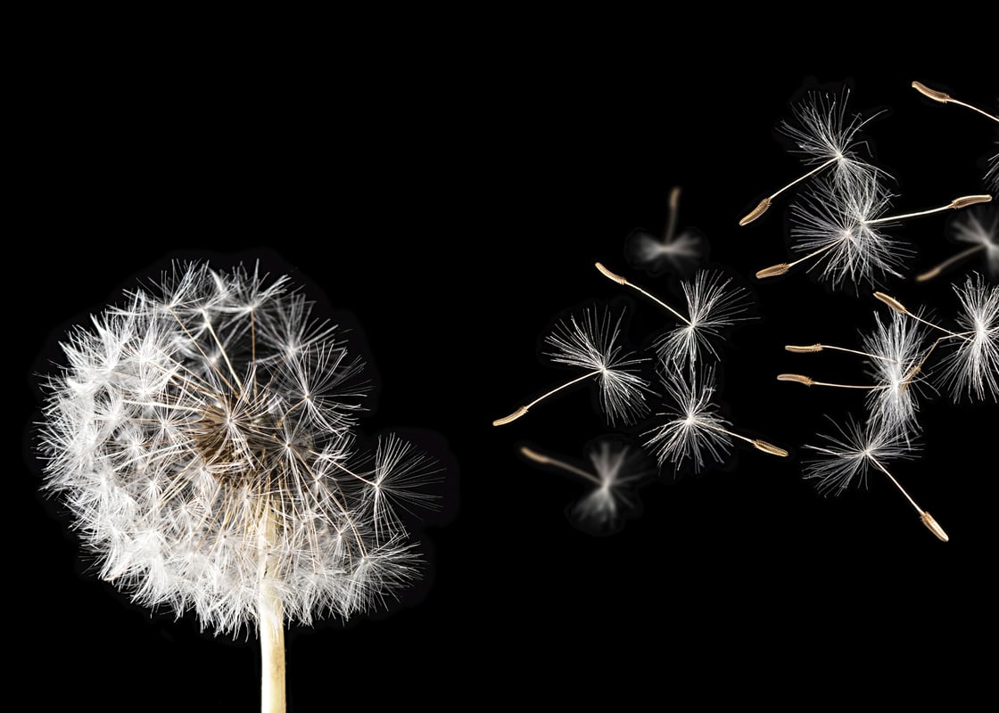 Deska do krojenia Urbanvege19A Alfa-Cer