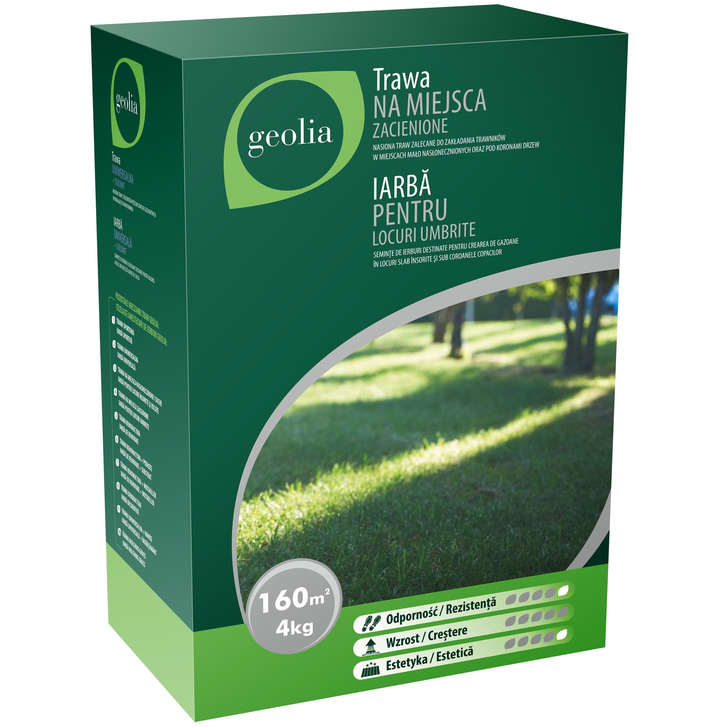 Trawa na miejsca zacienione 4 kg GEOLIA - Leroy Merlin