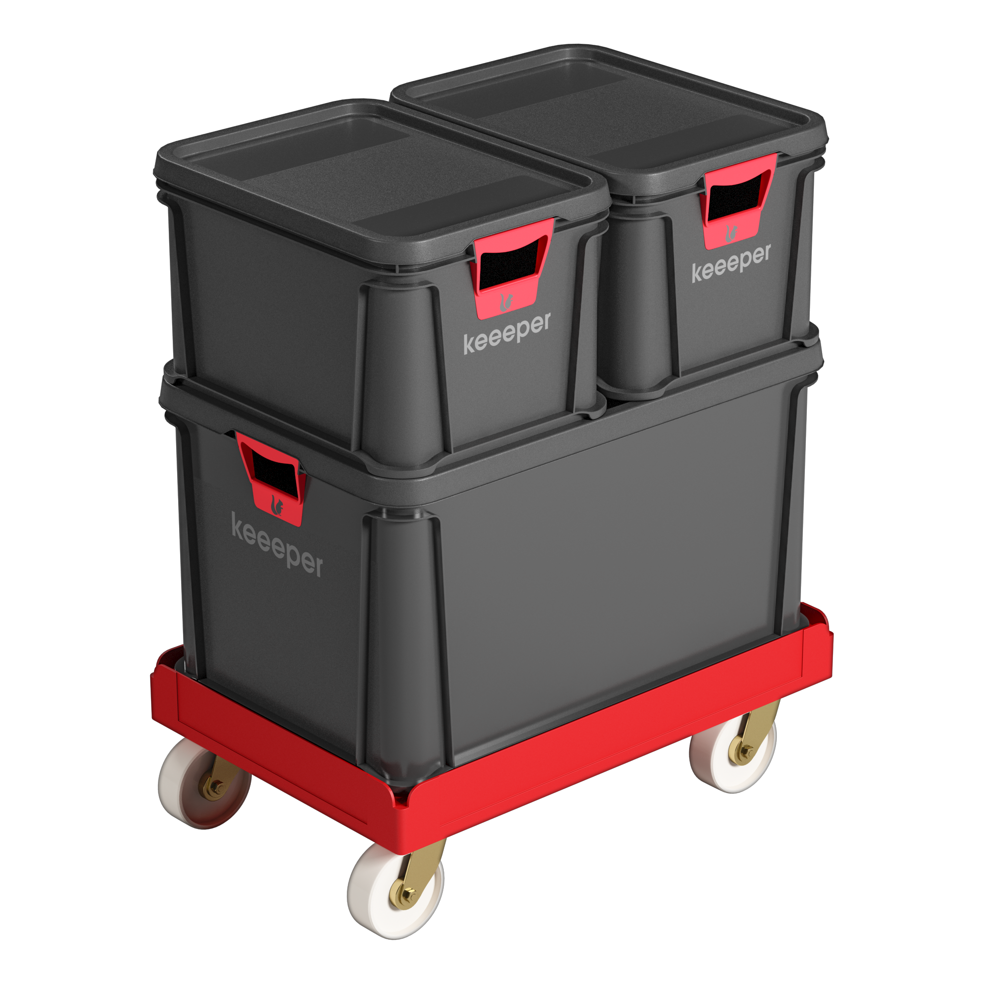 Platforma transportowa max. obciążenie 300 kg Robusto/Luiz Keeeper - 10
