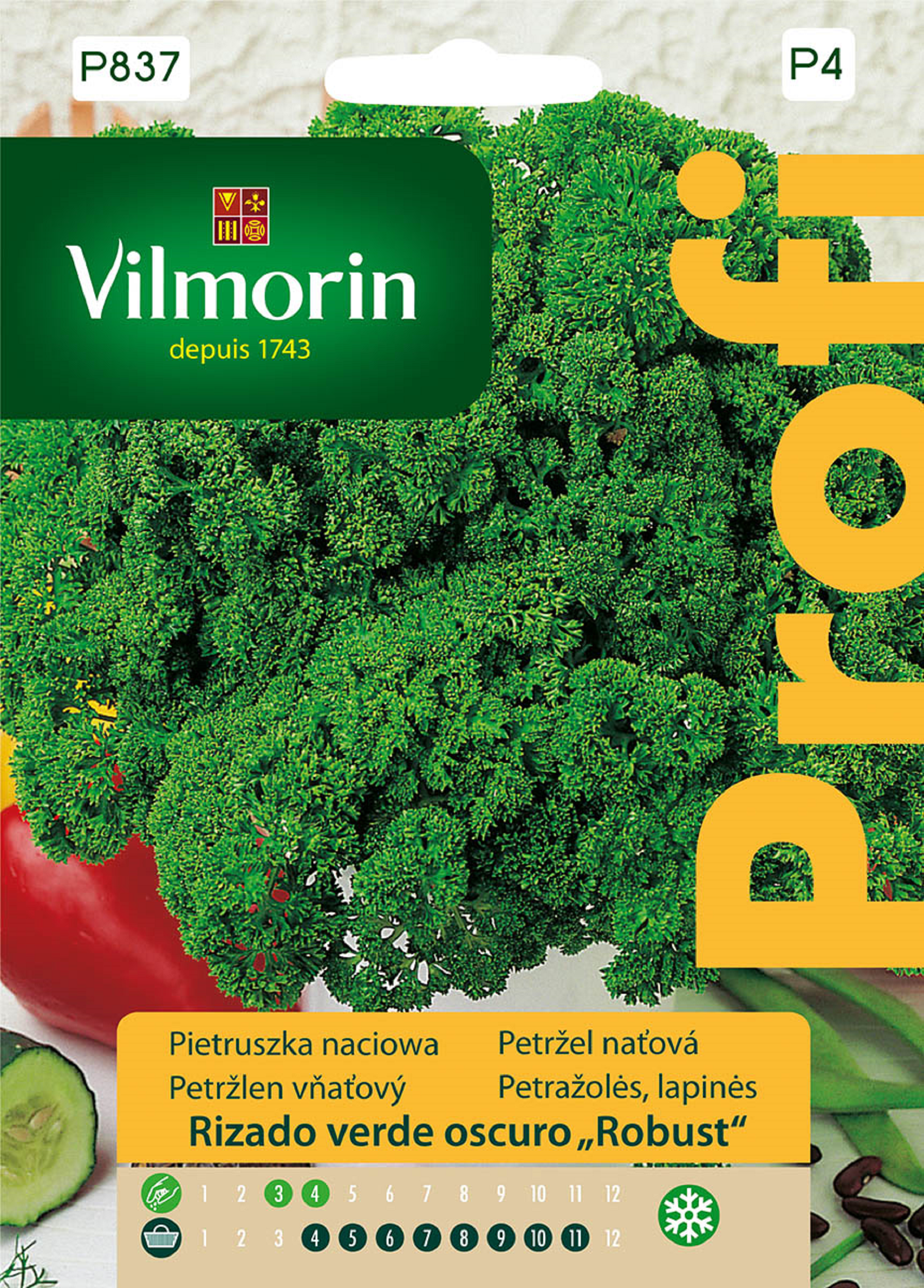 Pietruszka naciowa Robust nasiona Vilmorin