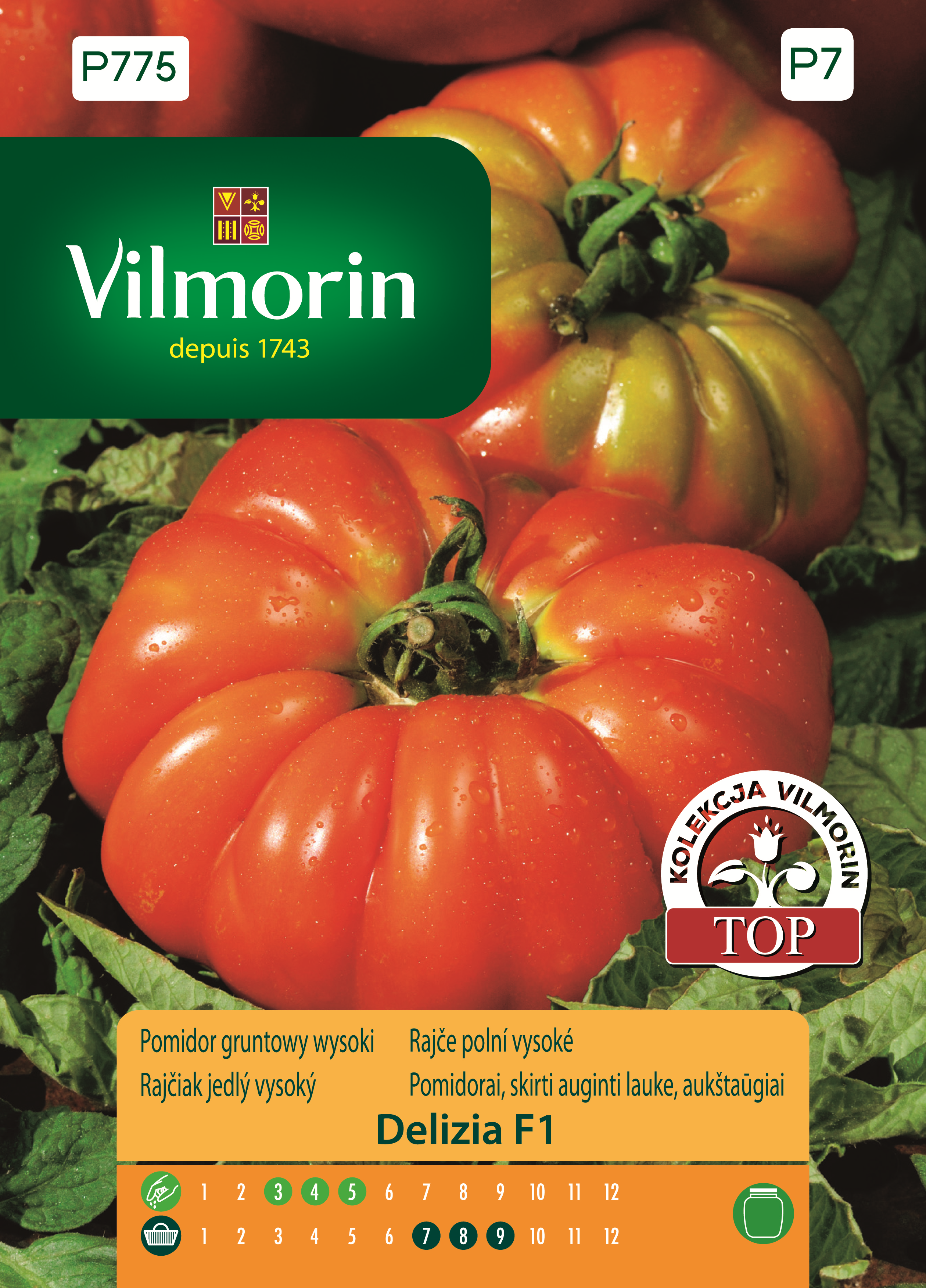Pomidor gruntowy wysoki Delizia F1 nasiona Vilmorin