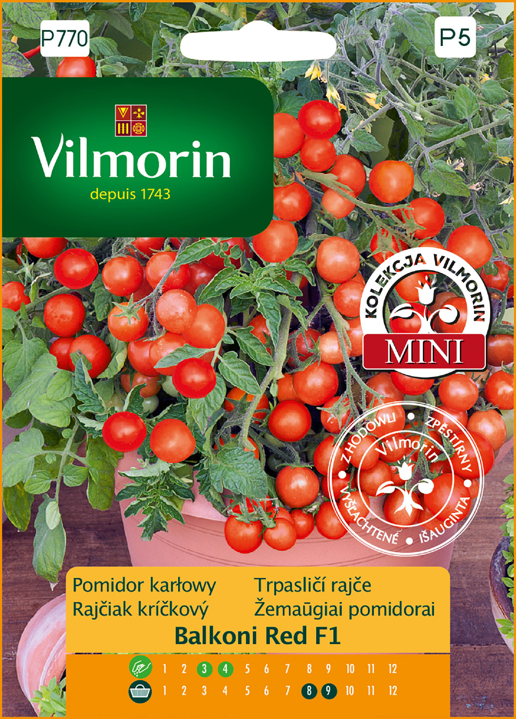 Pomidor karłowy Balconi Red F1 nasiona Vilmorin