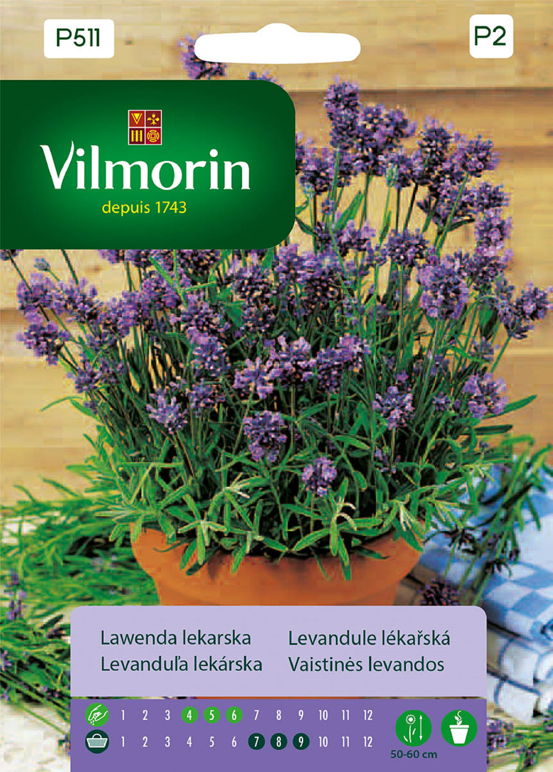 Lawenda lekarska nasiona tradycyjne Vilmorin