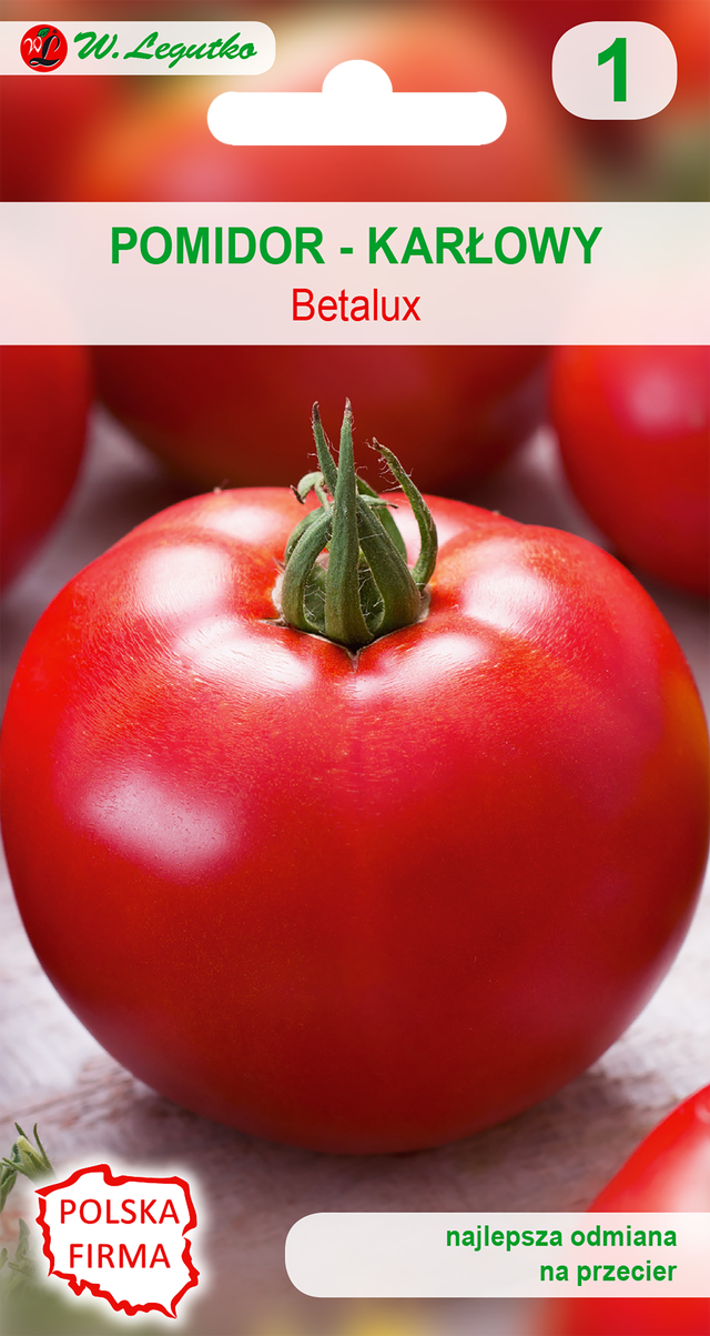 Pomidor gruntowy karłowy Betalux nasiona W. Legutko