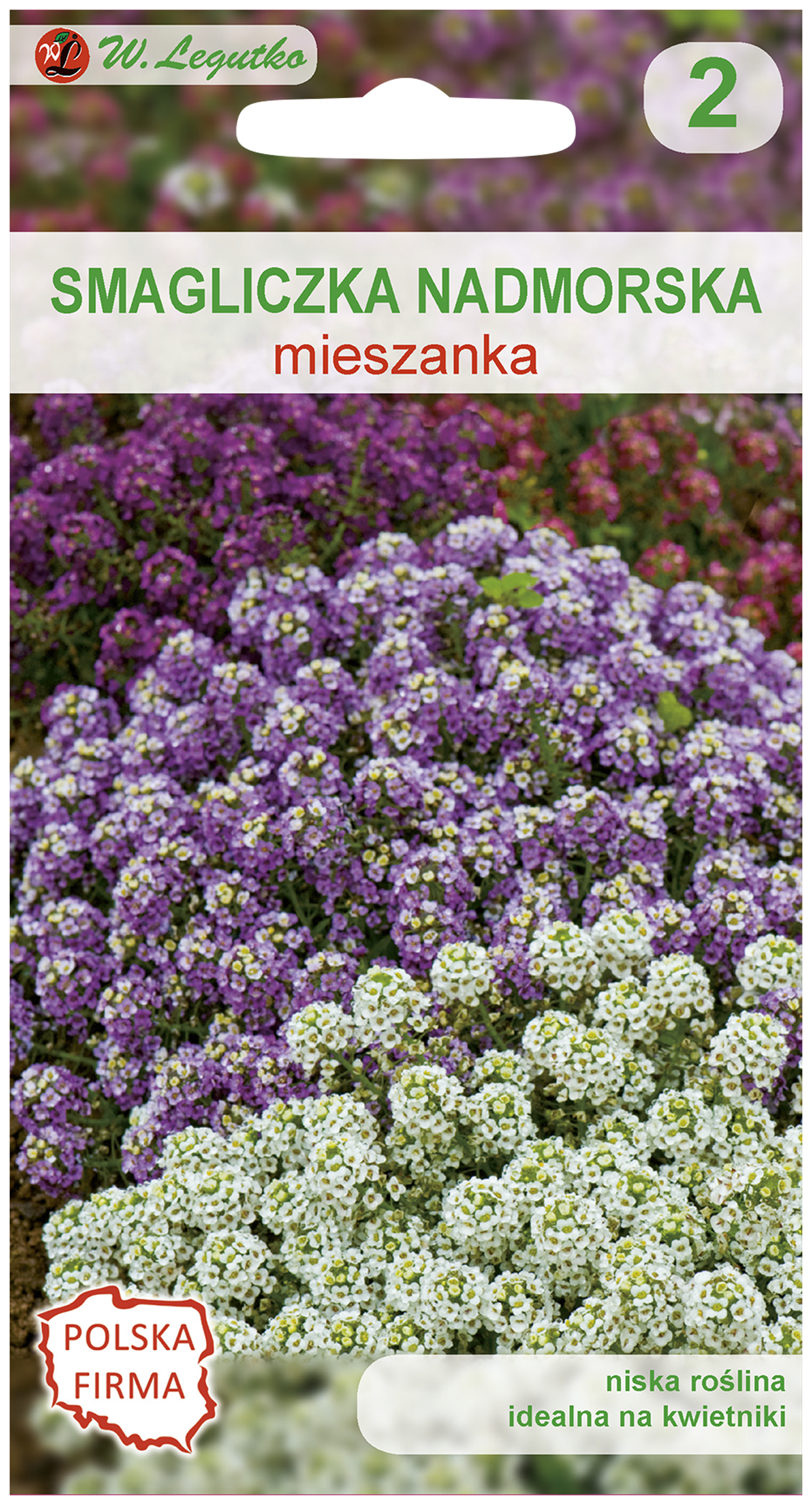 Smagliczka nadmorska nasiona tradycyjne W.Legutko