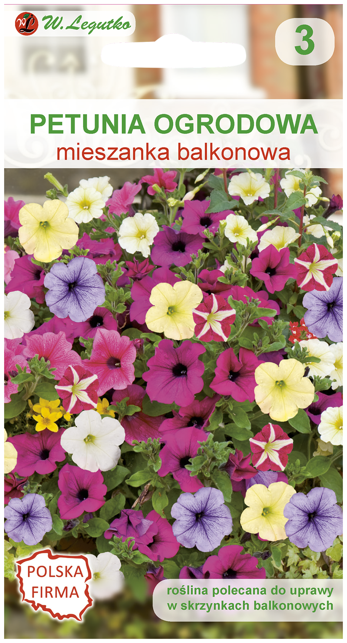 Petunia ogrodowa mieszanka nasiona tradycyjne W.Legutko