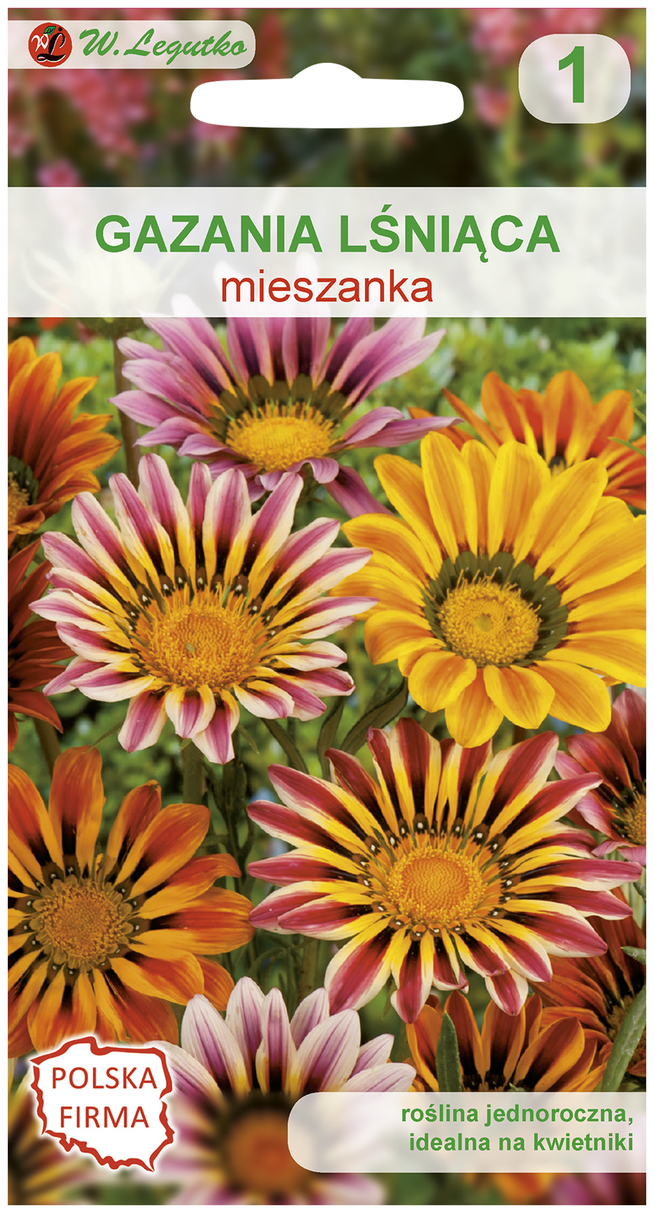 Gazania lśniąca mieszanka nasiona tradycyjne W.Legutko