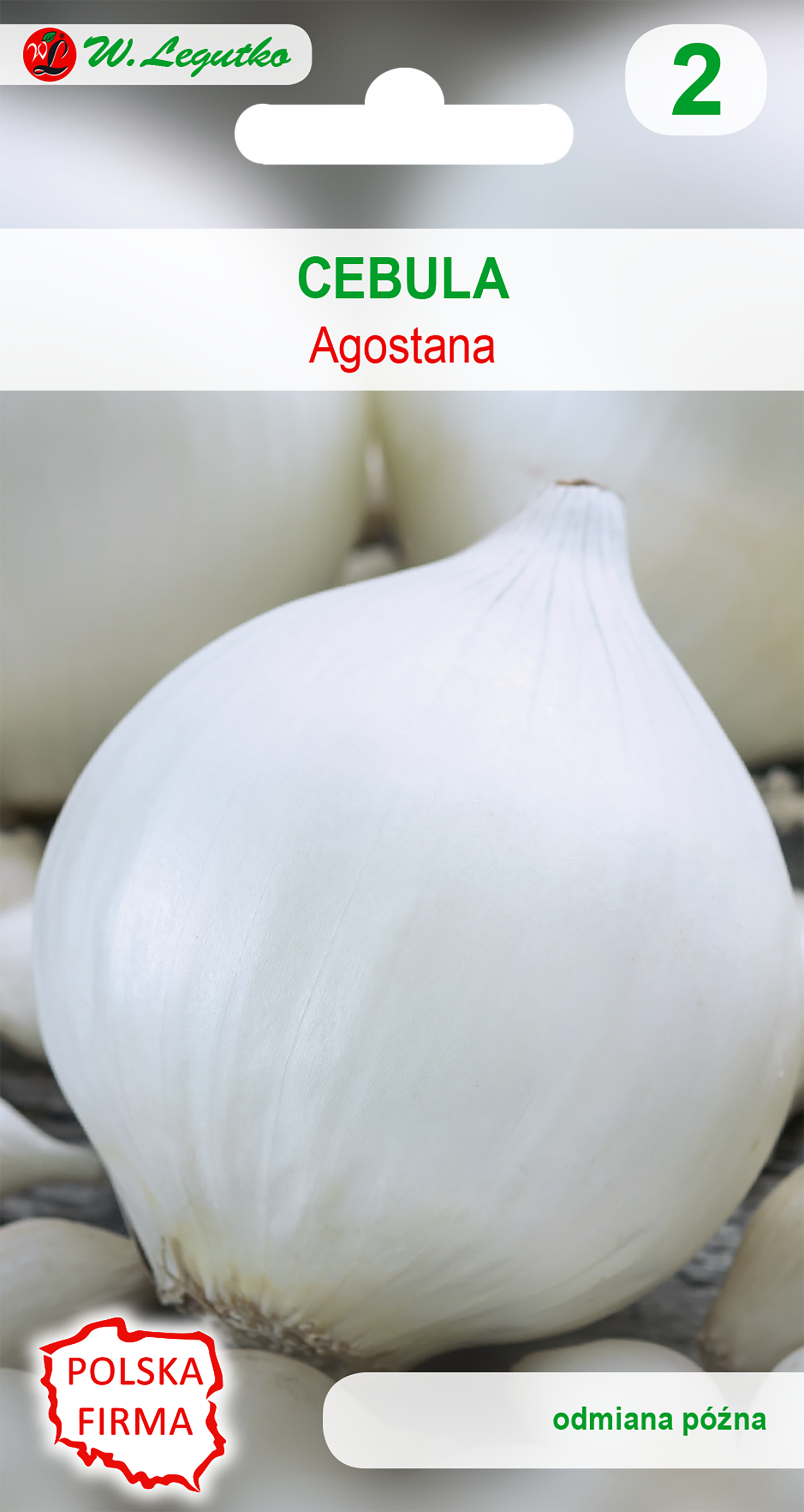 Cebula biała późna Agostana nasiona W. Legutko