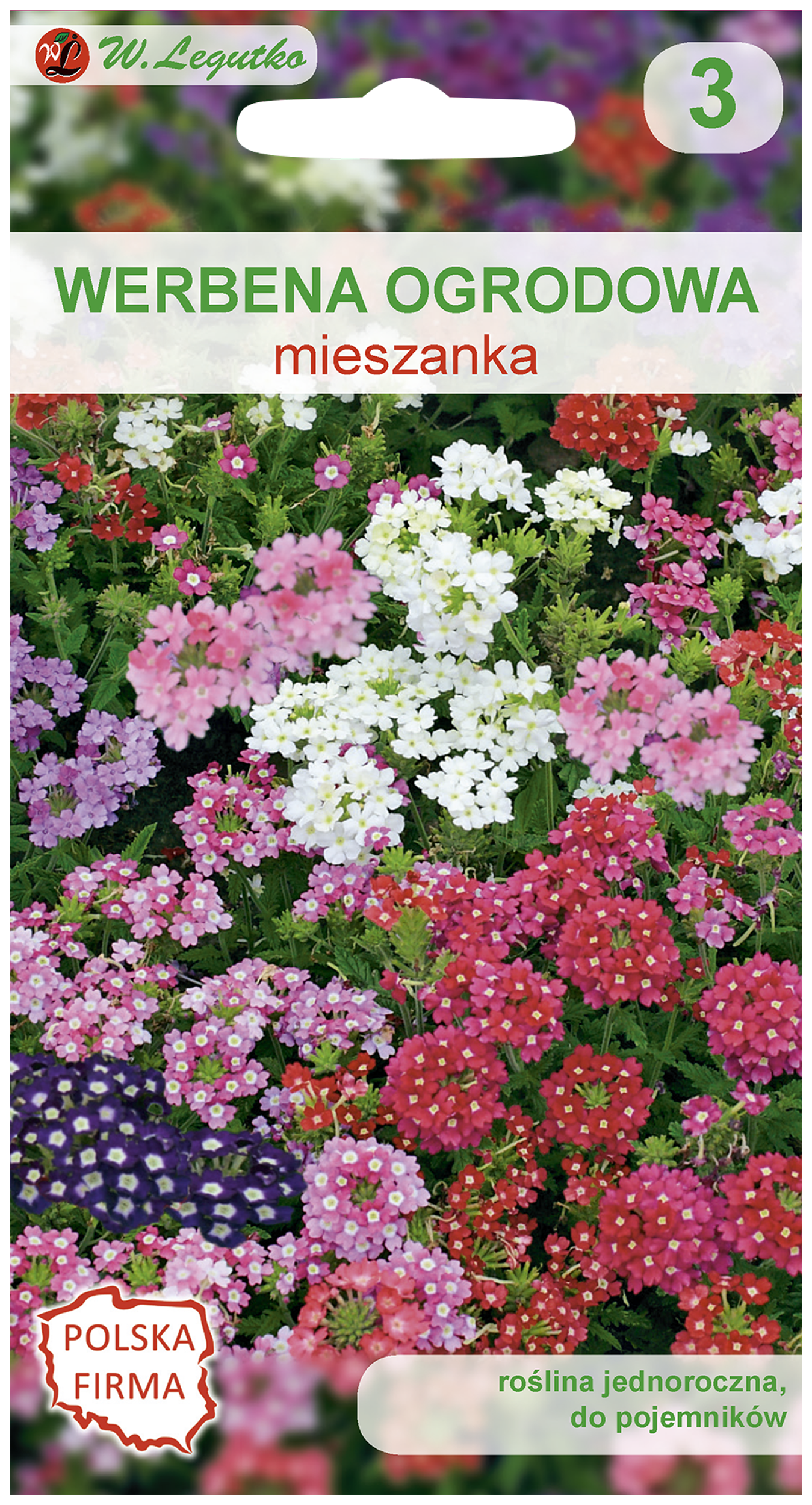 Werbena ogrodowa mieszanka nasiona tradycyjne W.Legutko