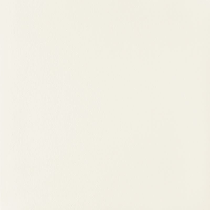 Gres szkliwiony Senza White 44,8x44,8 Arte