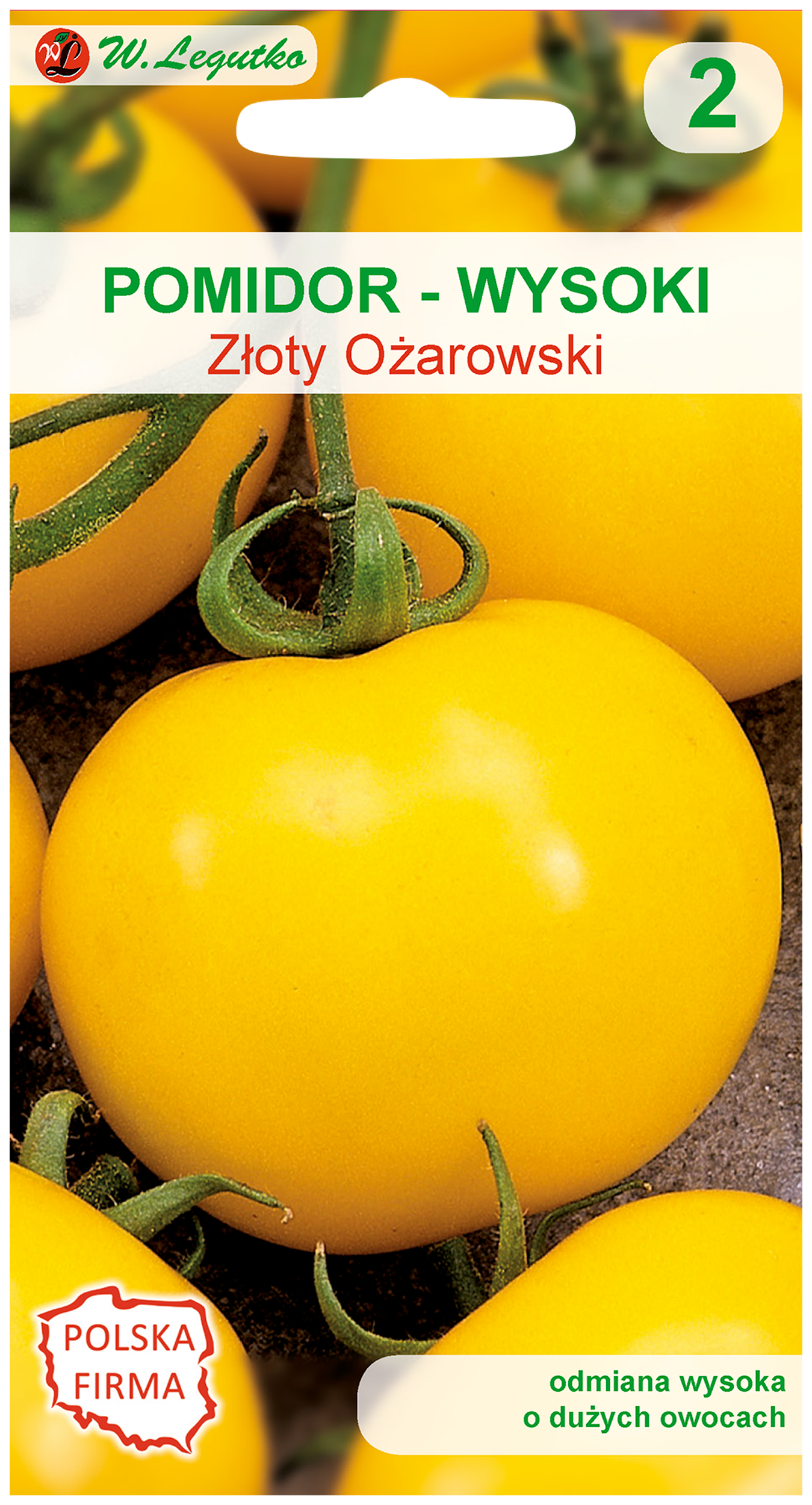 Pomidor gruntowy wysoki Złoty Ożarowski nasiona W. Legutko