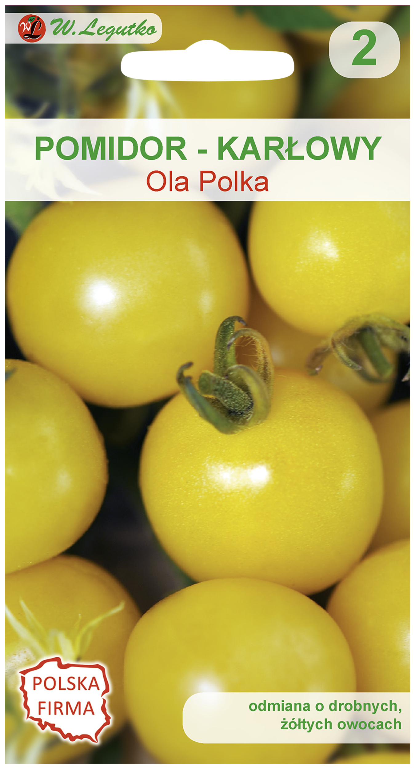 Pomidor gruntowy karłowy Ola Polka nasiona W. Legutko