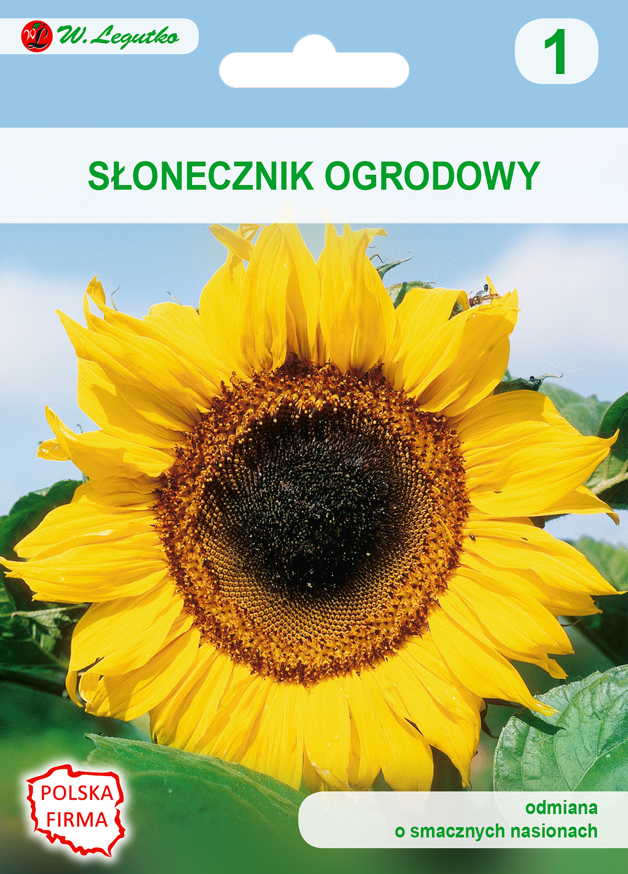 Słonecznik ogrodowy jadalny nasiona 20g W. Legutko