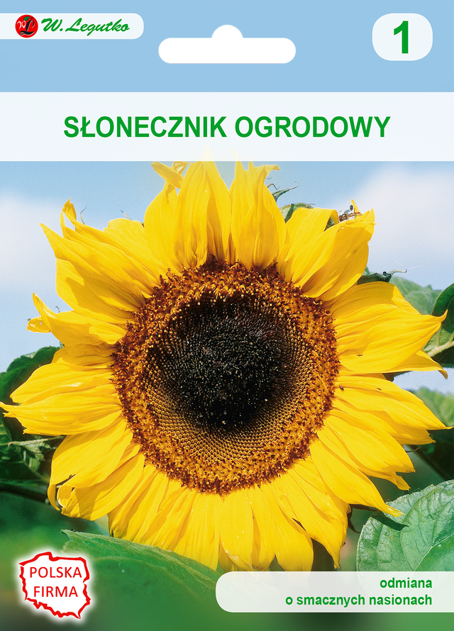 Słonecznik ogrodowy jadalny nasiona 20g W. Legutko