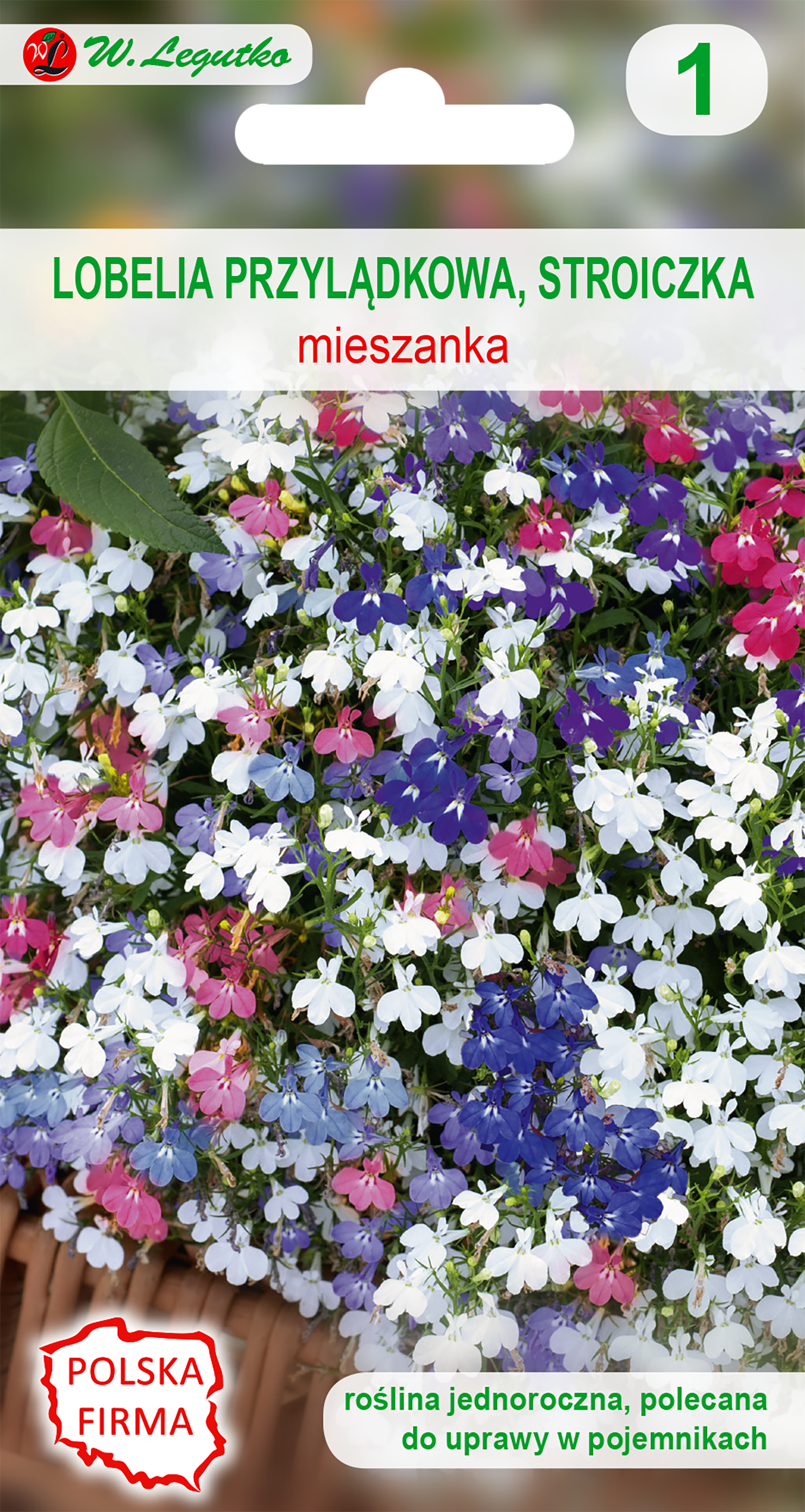 Lobelia przylądkowa Stroiczka nasiona tradycyjne W.Legutko