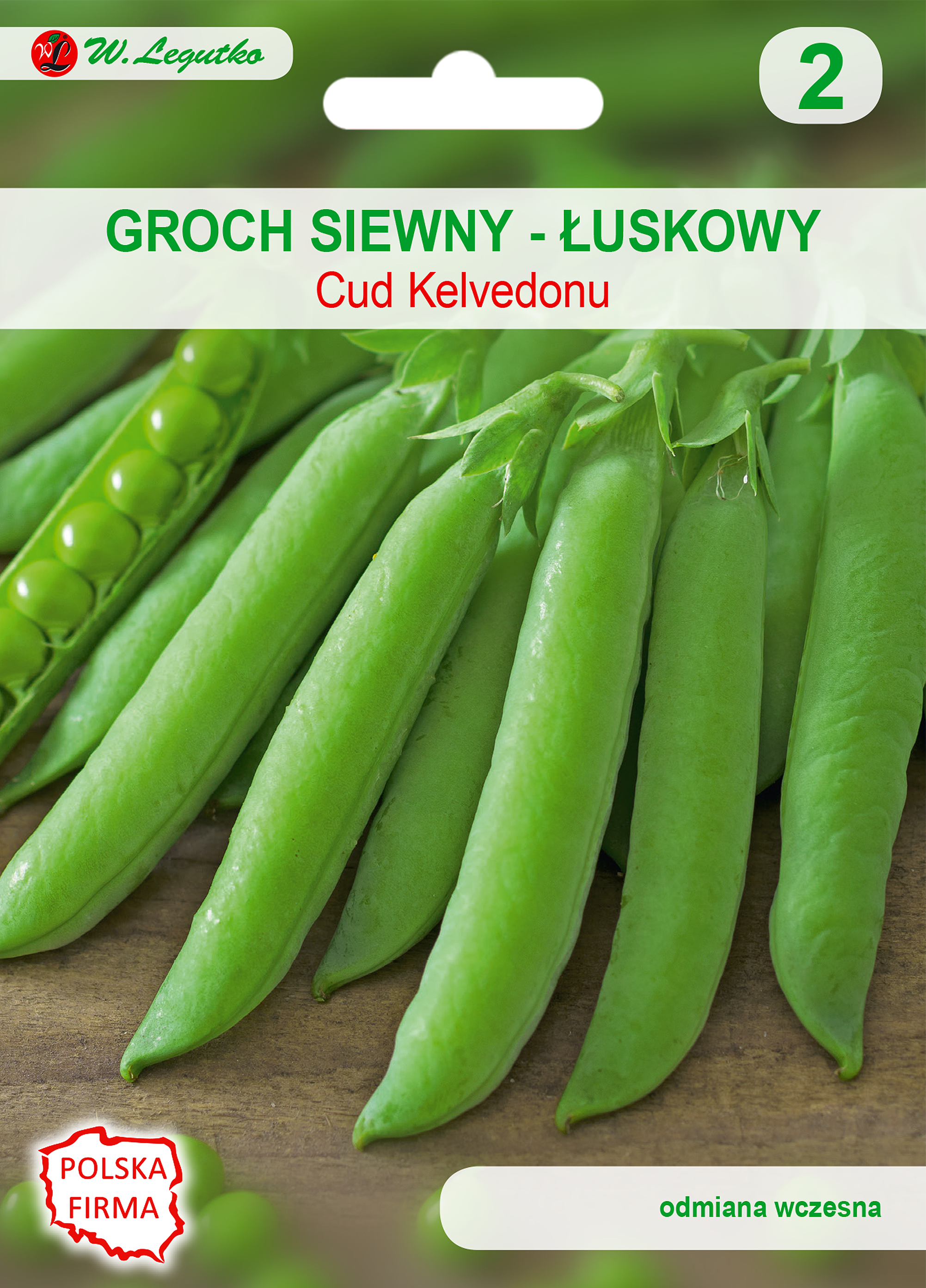 Groch siewny łuskowy Cud Kelvedonu nasiona 30g W. Legutko