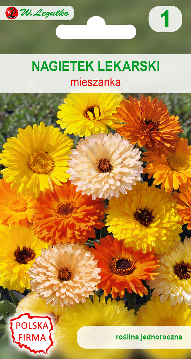 Nagietek lekarski nasiona tradycyjne W.Legutko