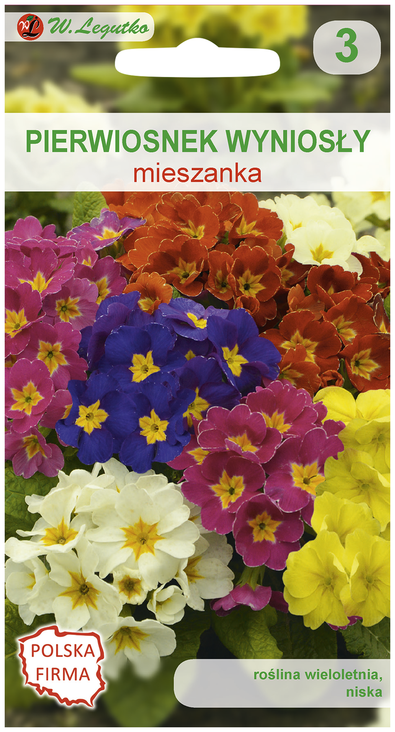 Pierwiosnek wyniosły mieszanka nasiona tradycyjne W.Legutko