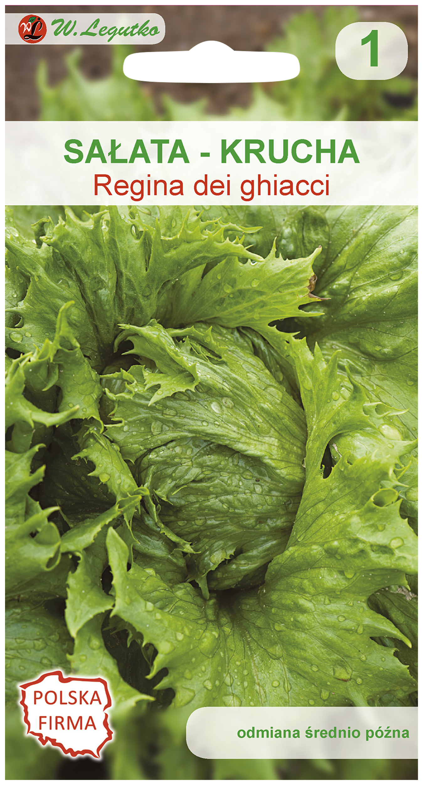Sałata lodowa krucha Regina dei Ghiacci nasiona W. Legutko