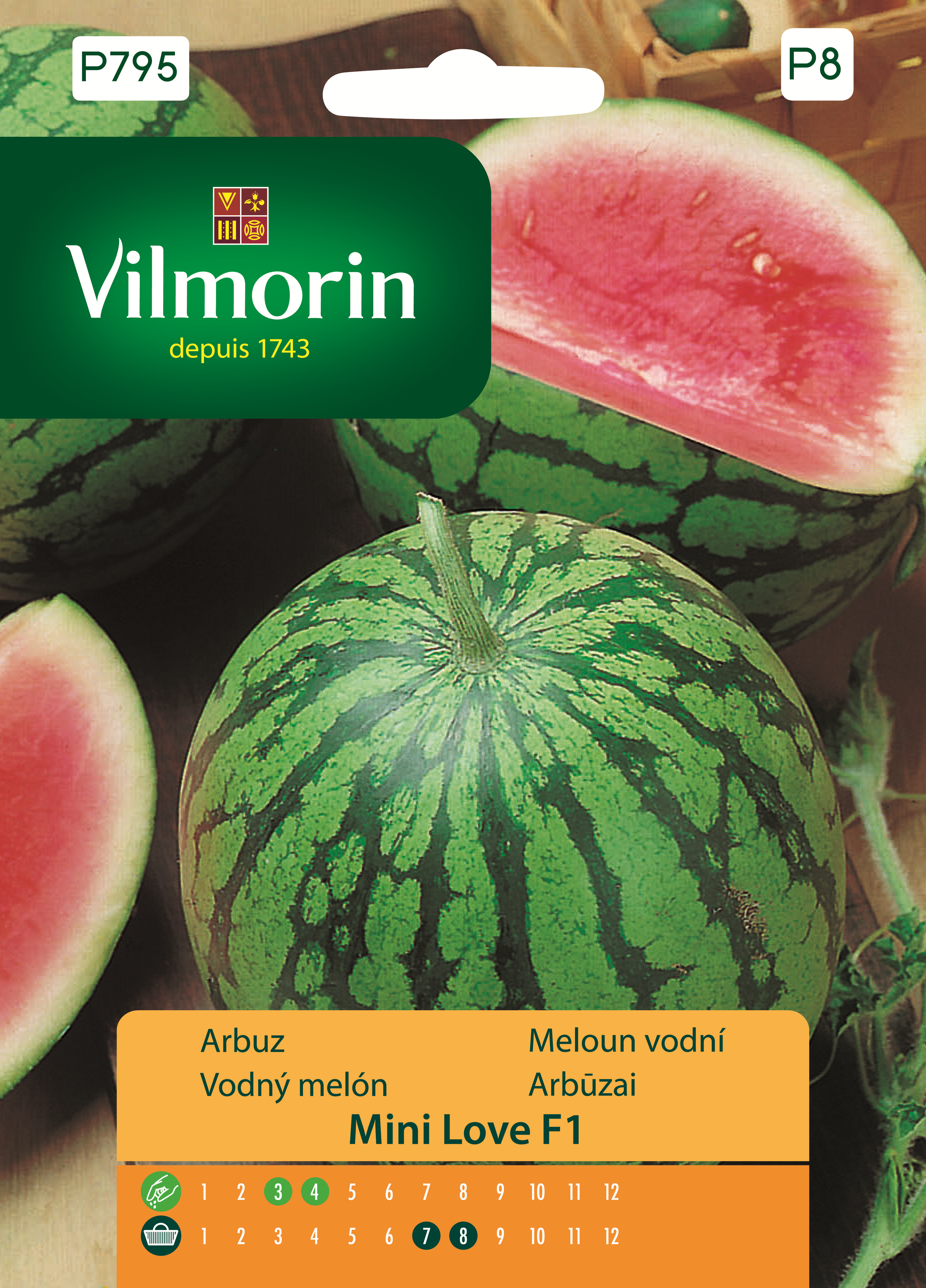 Arbuz Mini Love mieszaniec nasiona 0.5g Vilmorin
