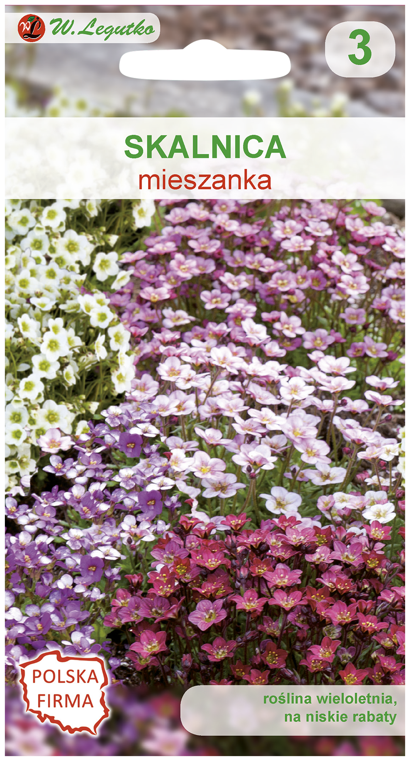 Skalnica nasiona tradycyjne W.Legutko
