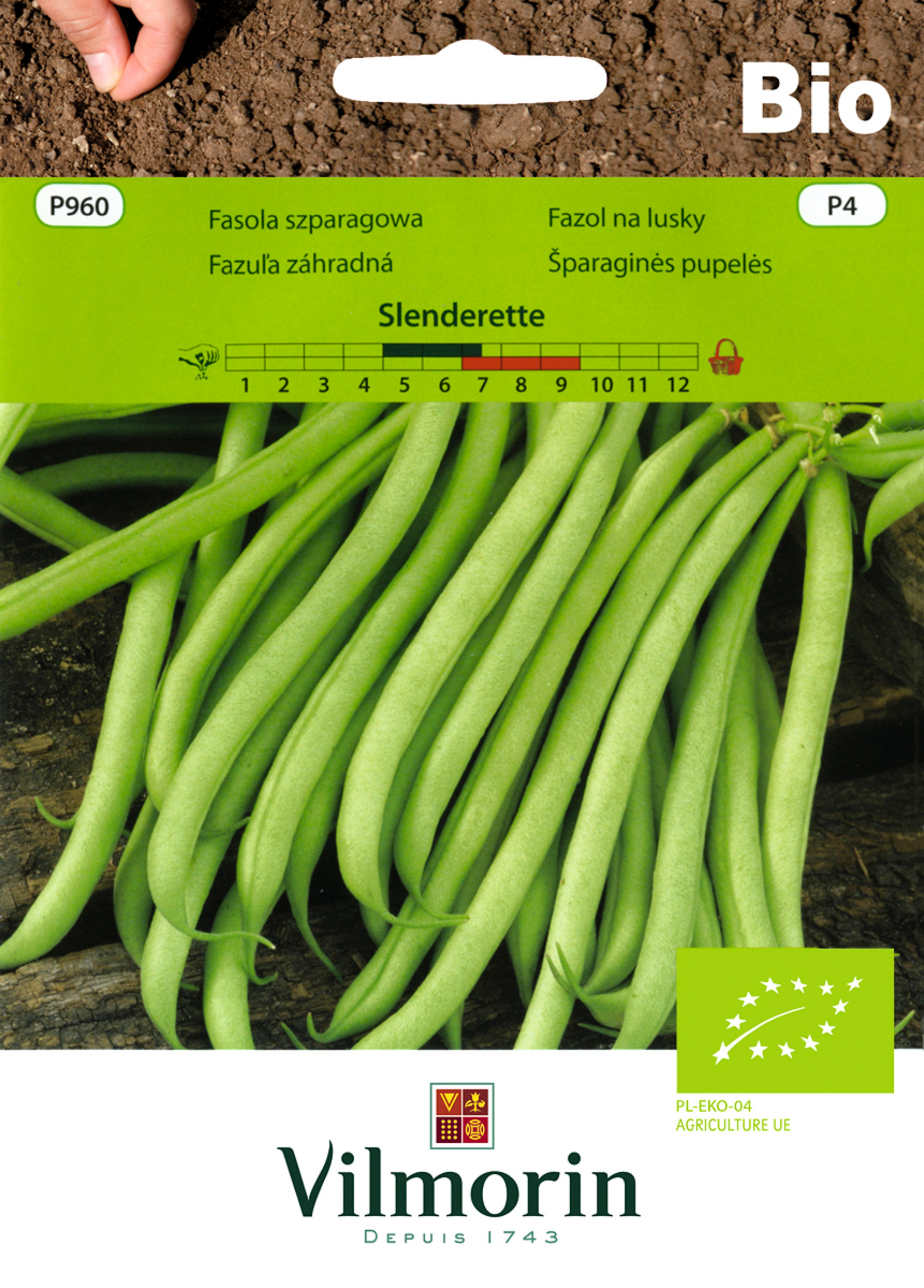 Fasola szparagowa karłowa Bio Slenderette nasiona ekologiczne 20g Vilmorin