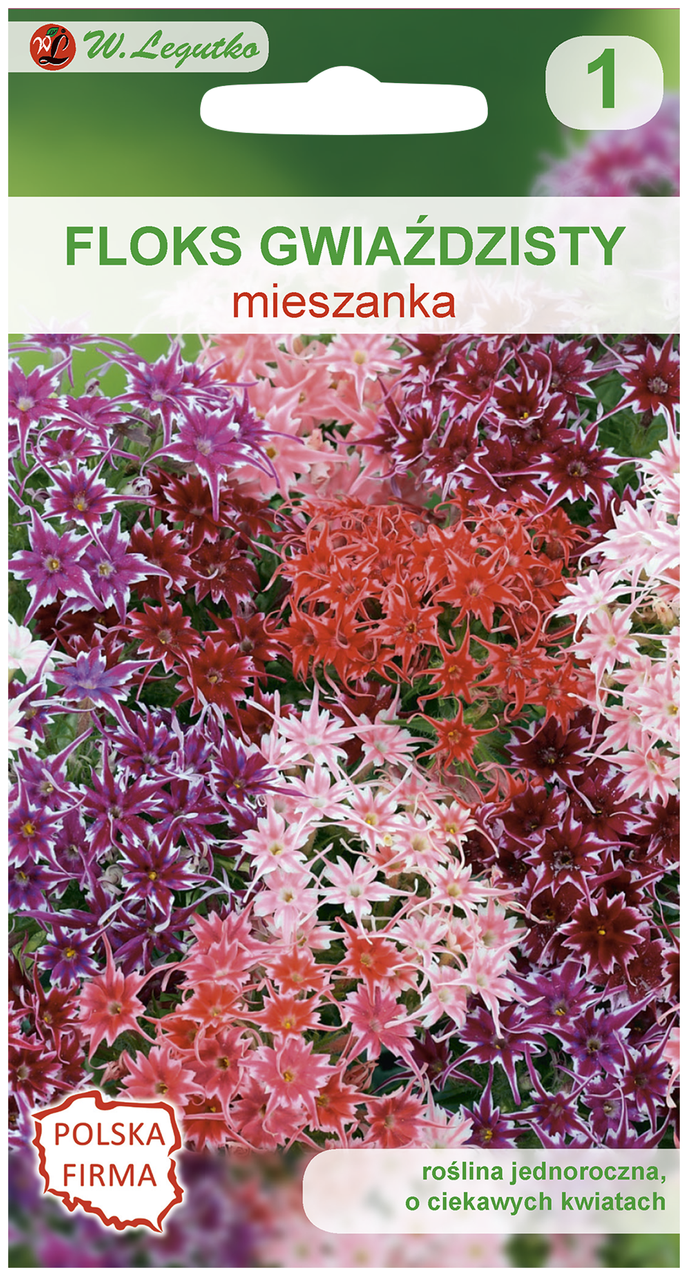 Floks gwiaździsty mieszanka nasiona tradycyjne W.Legutko