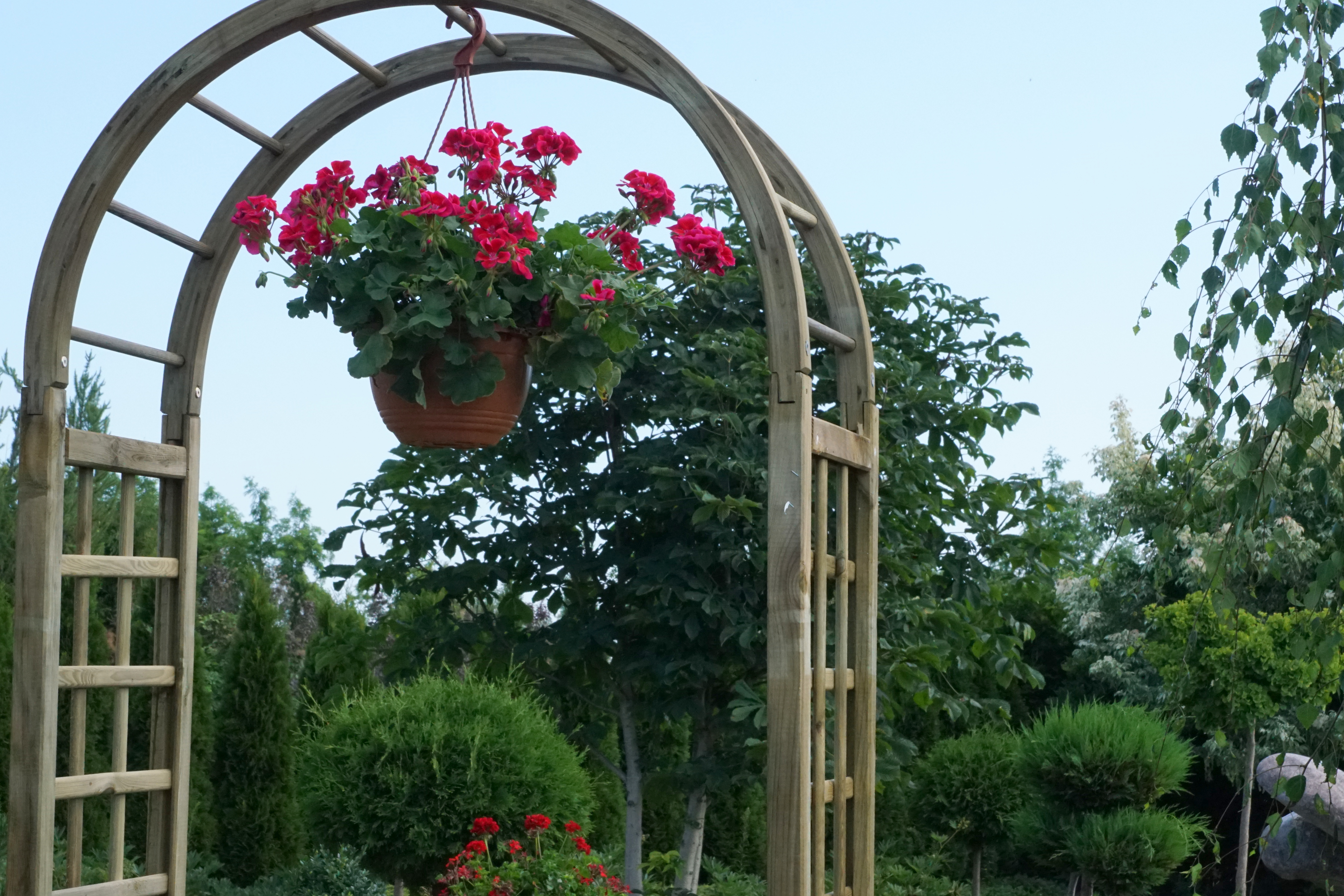 Pergola ogrodowa Róża 90x45x220 cm z łukiem drewniana Sobex - 3