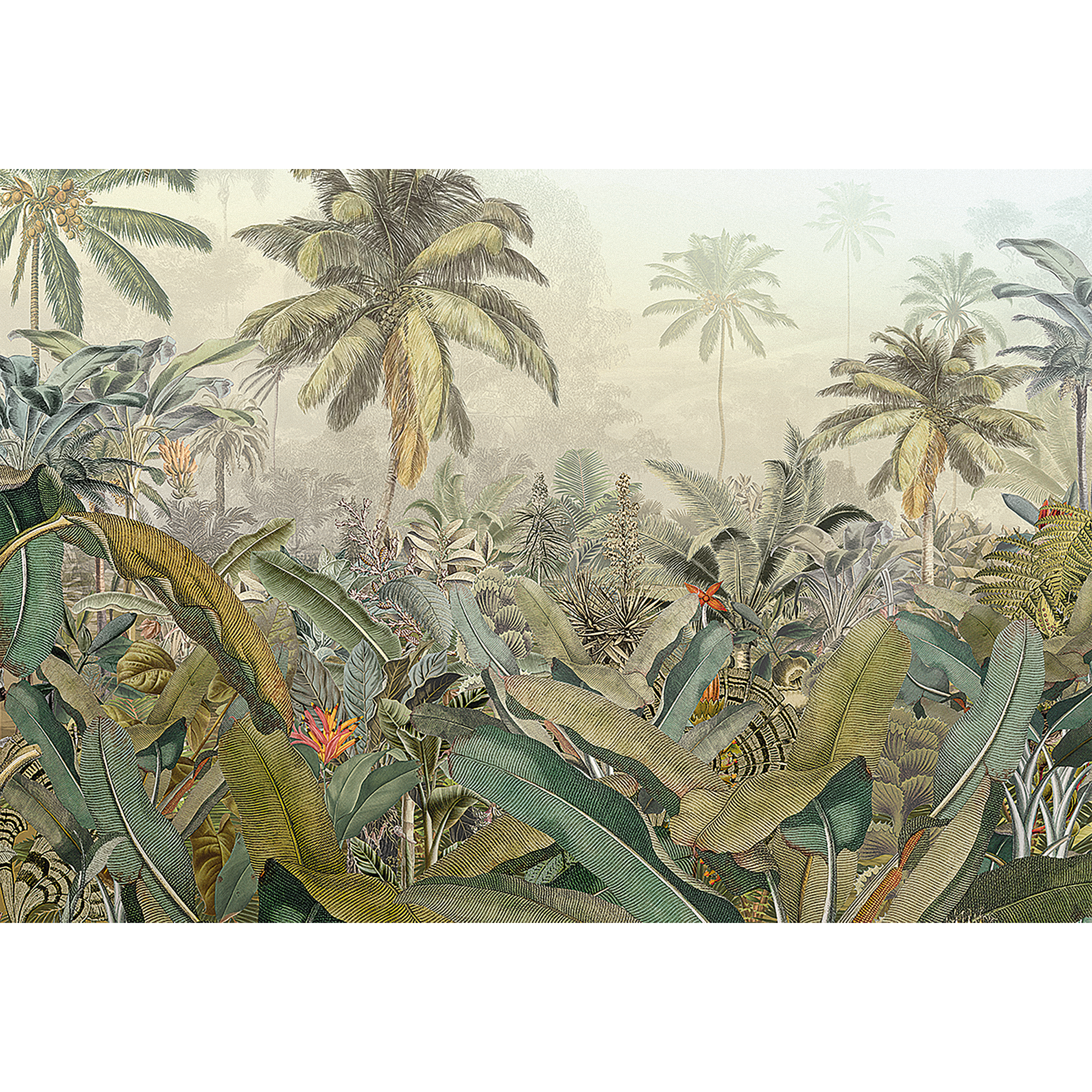 Fotomurale KOMAR Amazonia, Multicolore 368X248 cm - 10