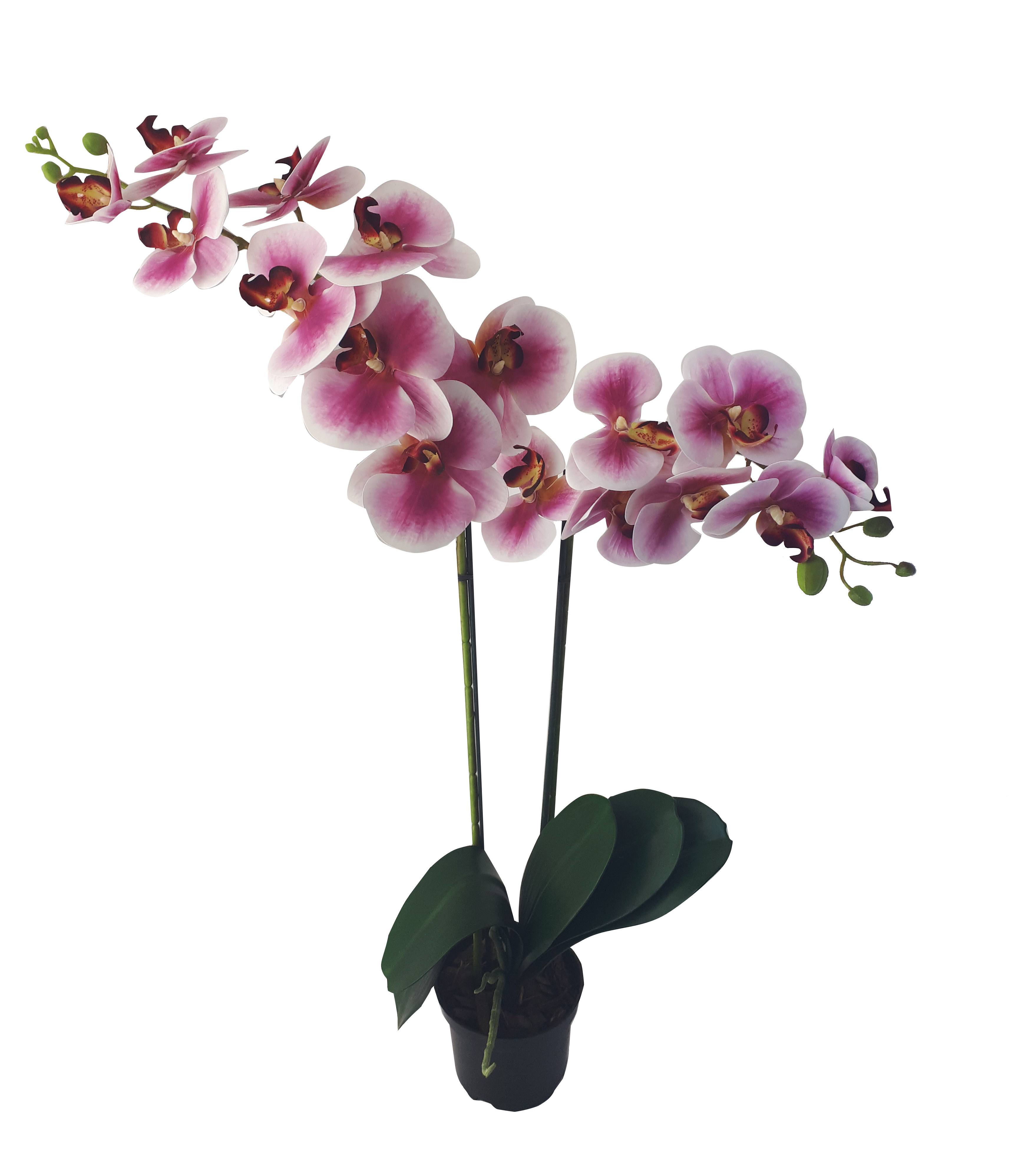 Storczyk sztuczny 2pędy 80cm w doniczce