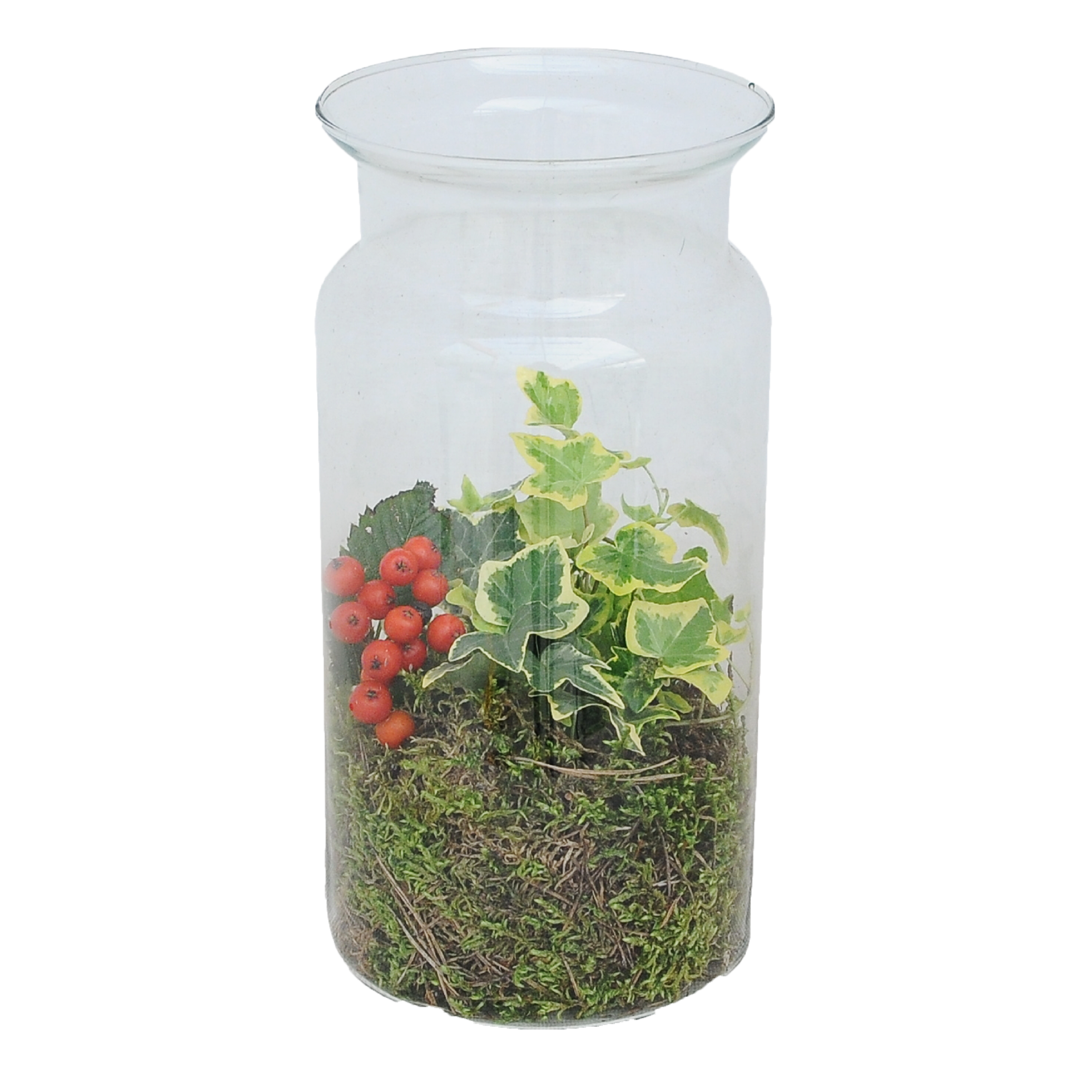 Bluszcz mix 25 cm w szklanym wazonie