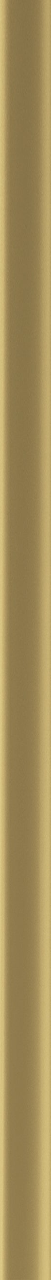 Listwa progowa dylatacyjna uniwersalna No.27 Złota 37 x 930 mm Artens - 2