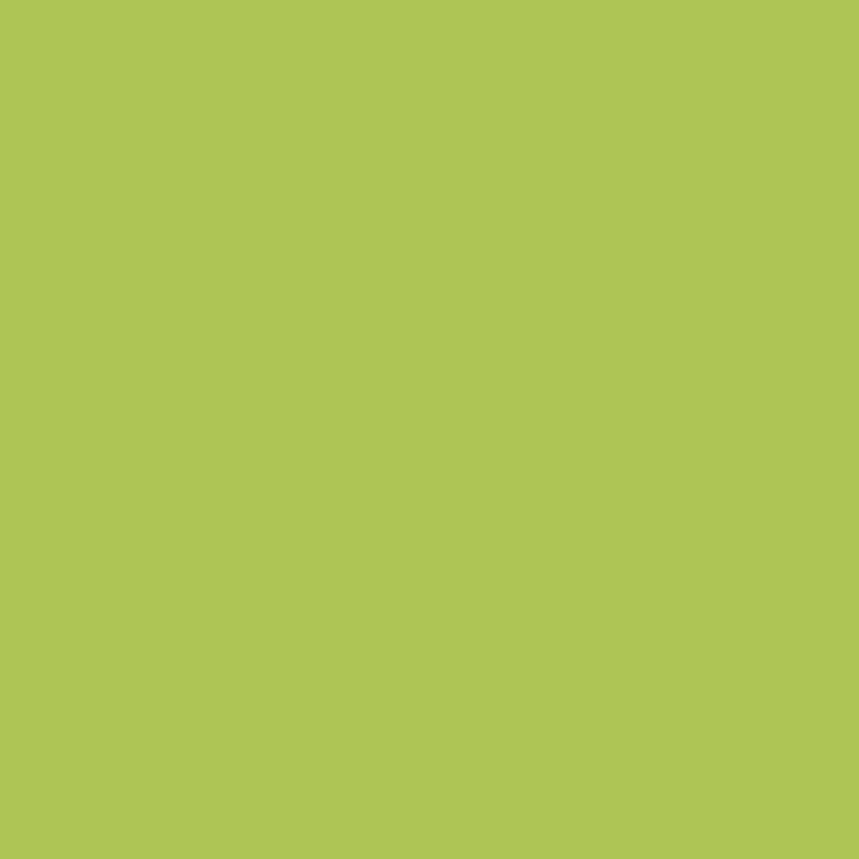 Tester farby Dulux Kolory świata Las równikowy 30 ml - 2