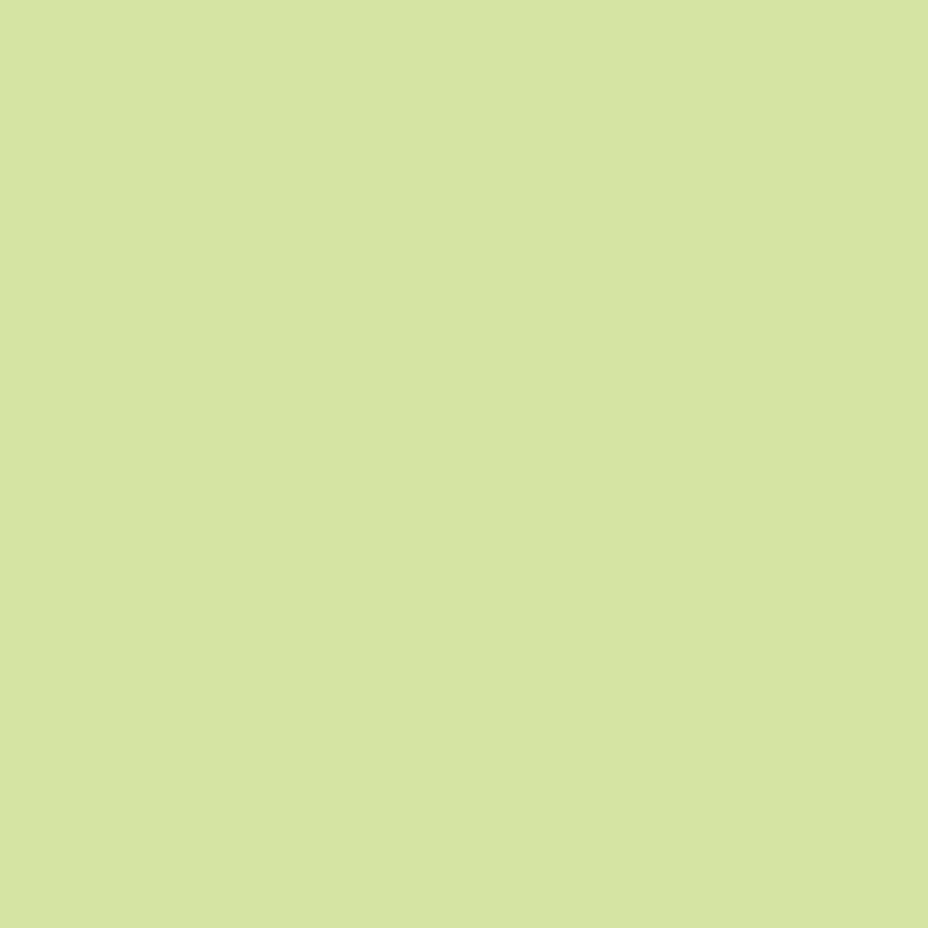 Tester farby Dulux Easycare Perfekcyjna pistacja 30 ml - 4