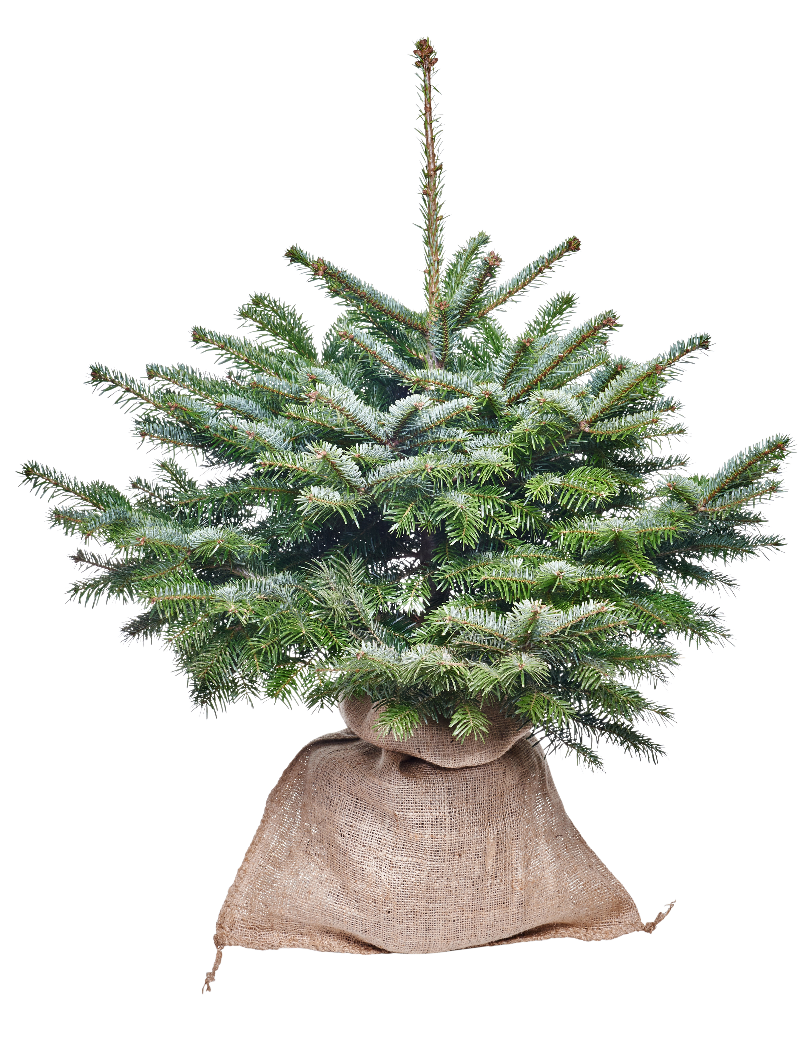 Worek jutowy 50x80 cm 25l Rim Kowalczyk - 4