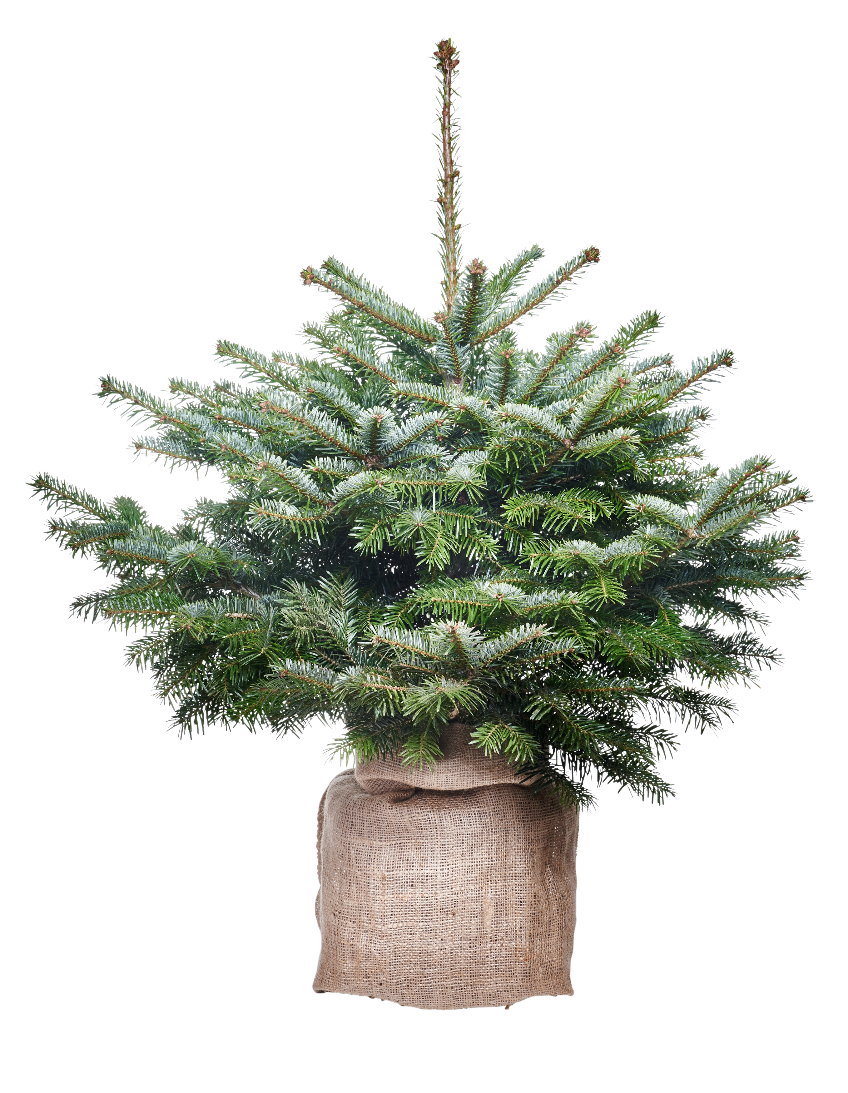 Worek jutowy 50x80 cm 25l Rim Kowalczyk - 3