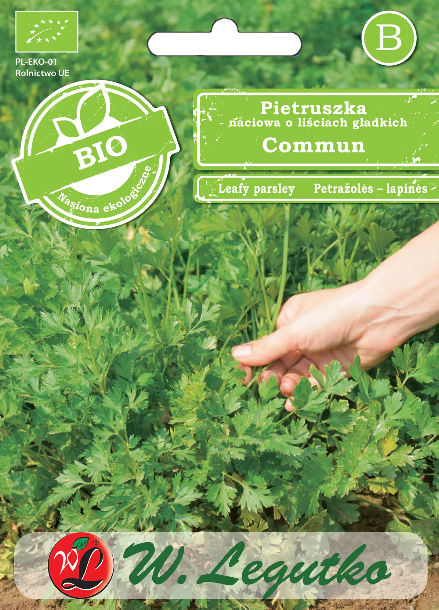 Pietruszka naciowa Bio 'Commun' liście gładkie nasiona W.Legutko
